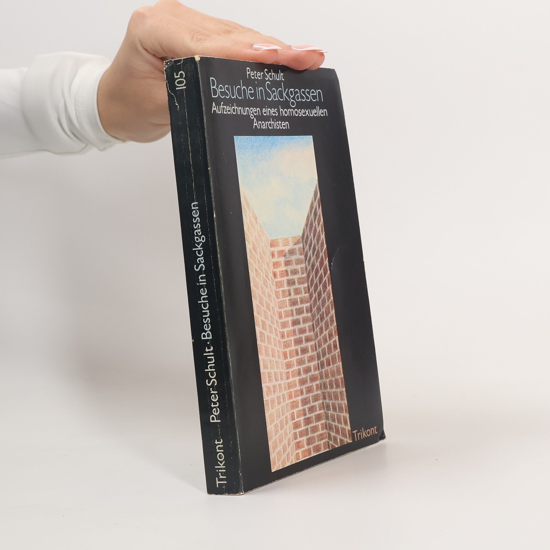 Peter Schult Besuche in Sackgassen