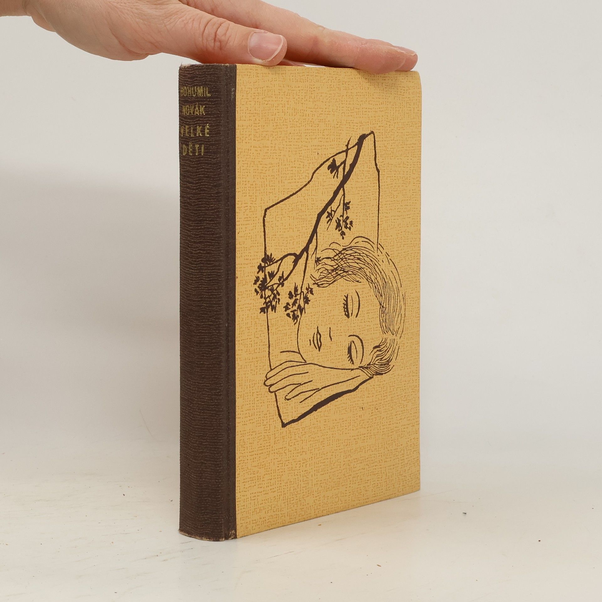 Bohumil Novák Velké děti