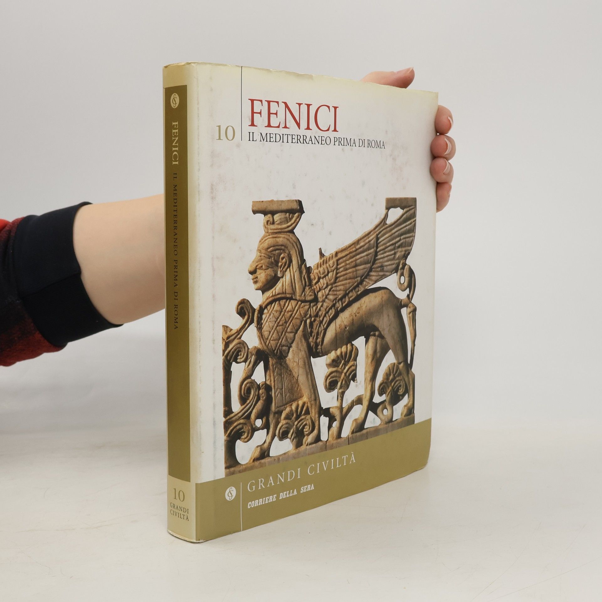 Kolektiv autorů Fenici