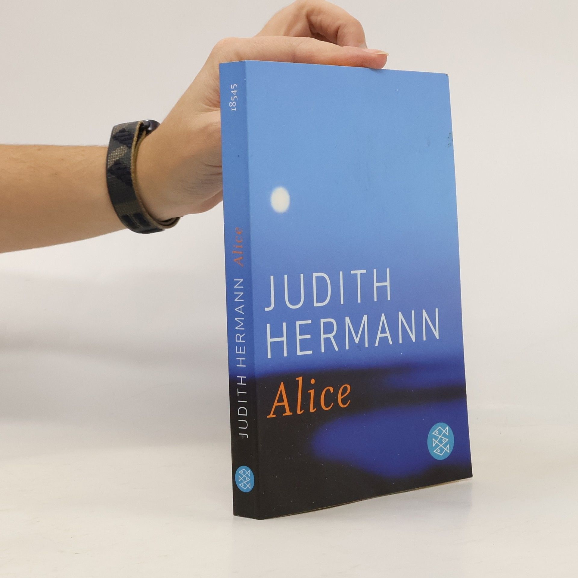 Judith Hermann Alice