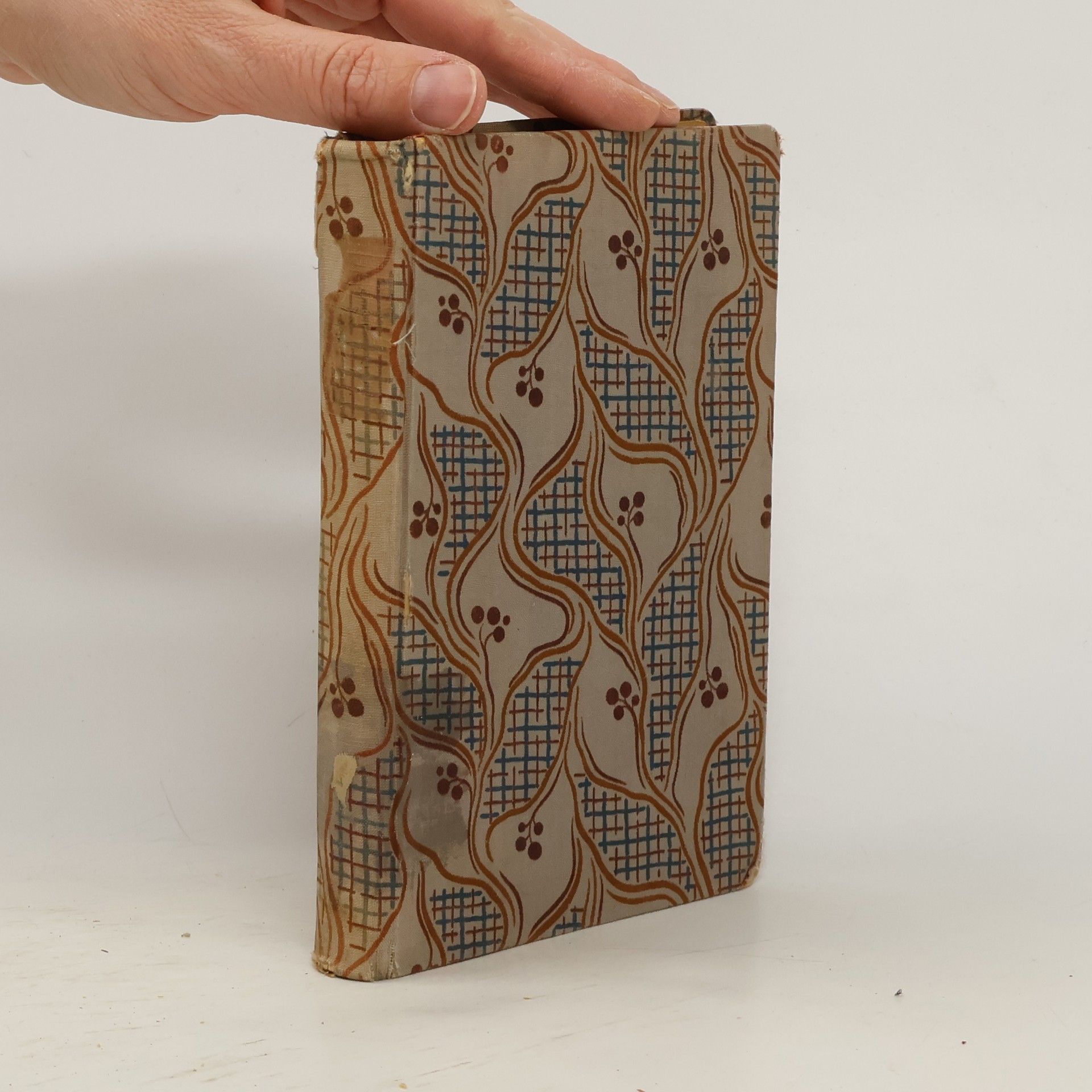 Victor Hugo Bídníci VI.