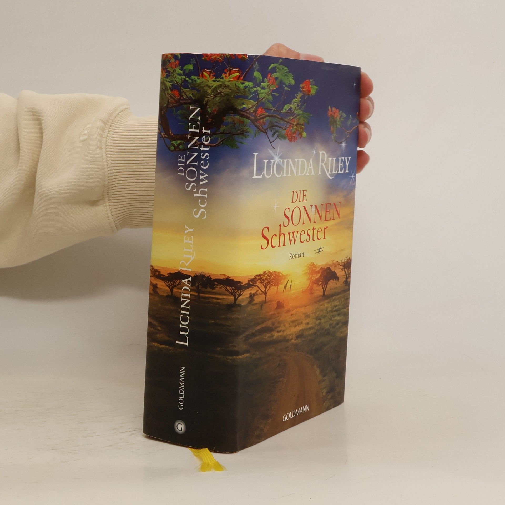 Lucinda Riley Die Sonnenschwester