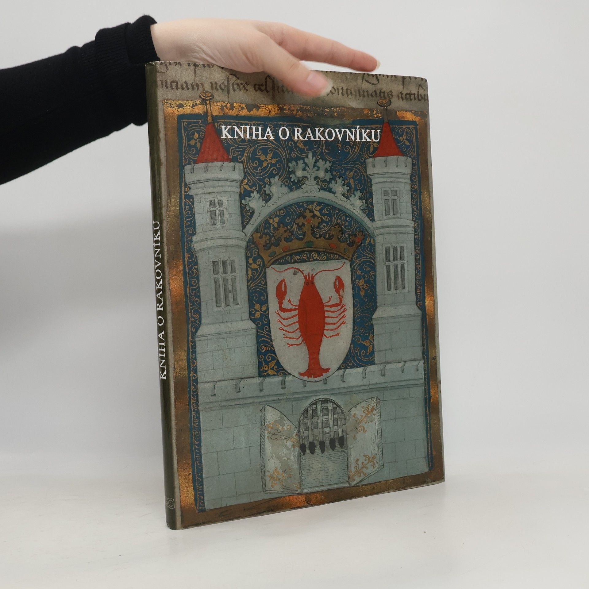 Autorenkollektiv Kniha o Rakovníku