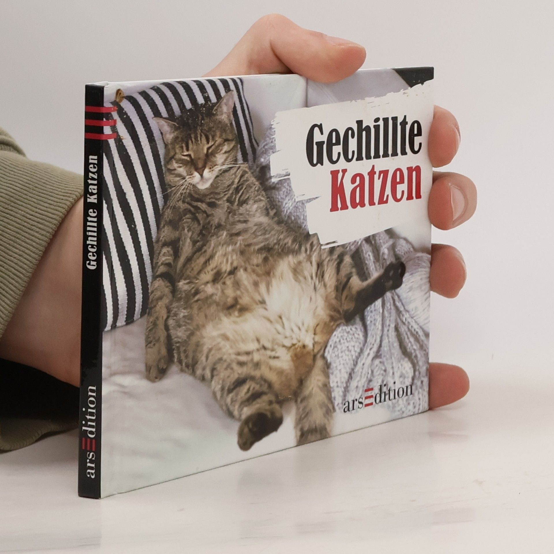Paulus Vennebusch Gechillte Katzen