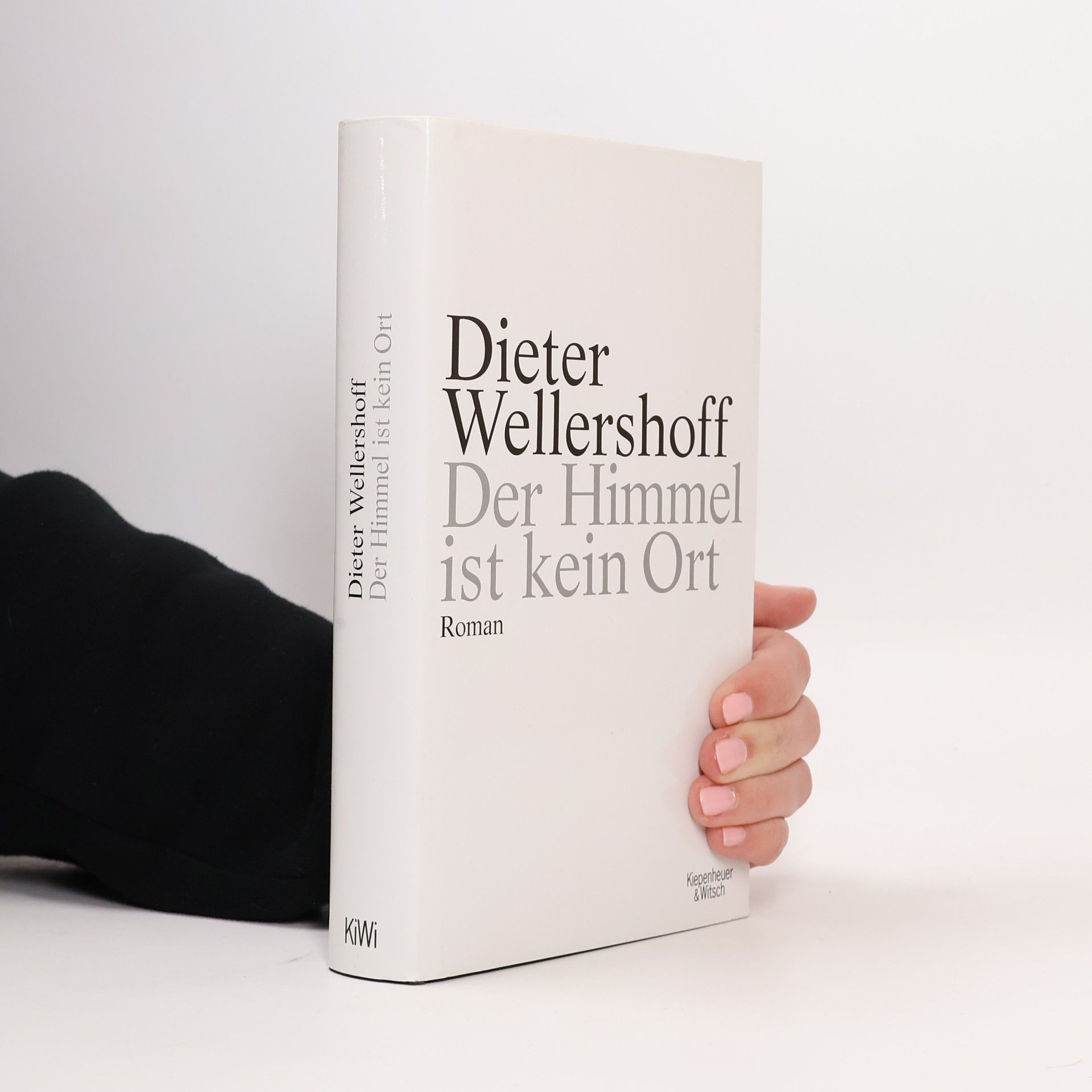 Dieter Wellershoff Der Himmel ist kein Ort