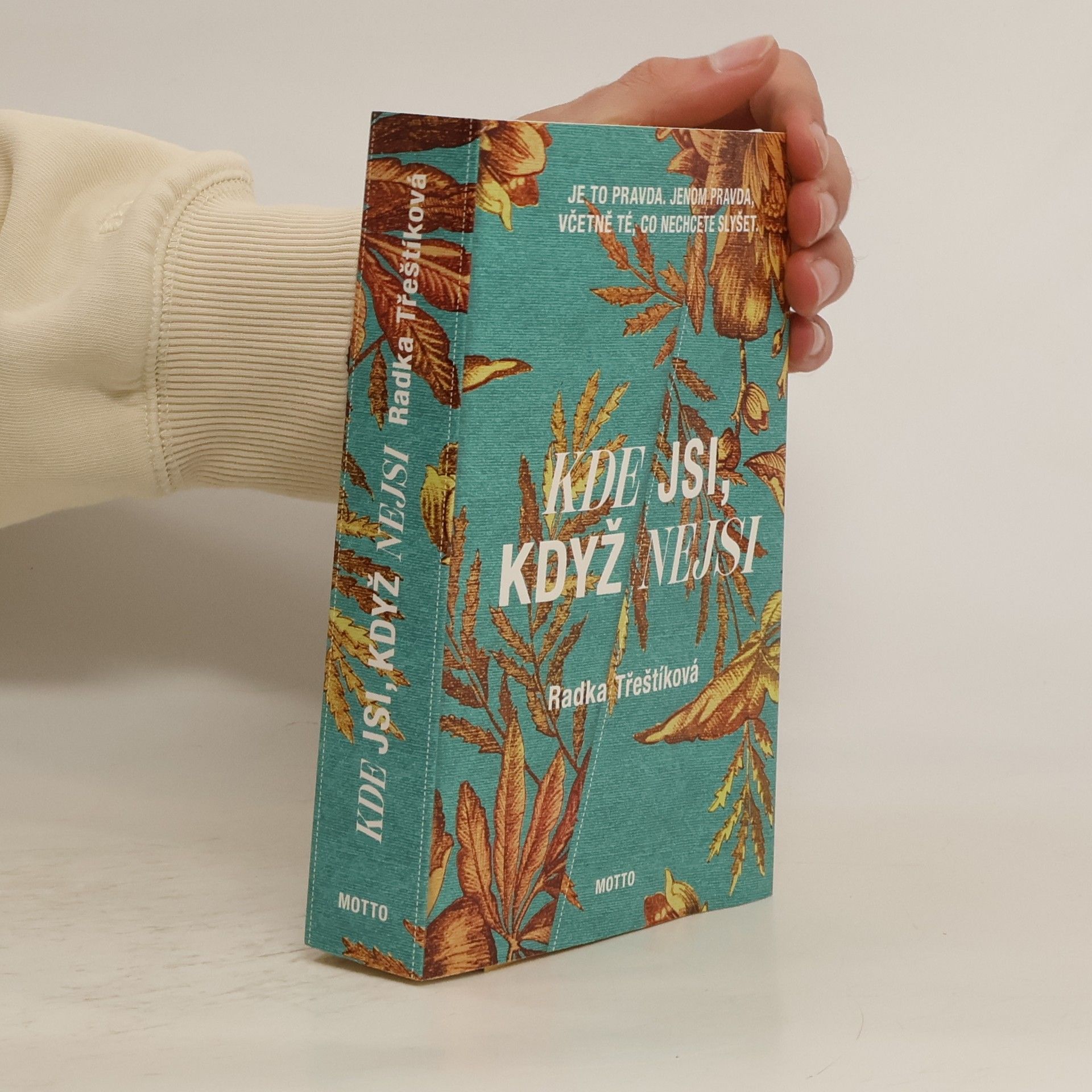 Radka Třeštíková Kde jsi, když nejsi