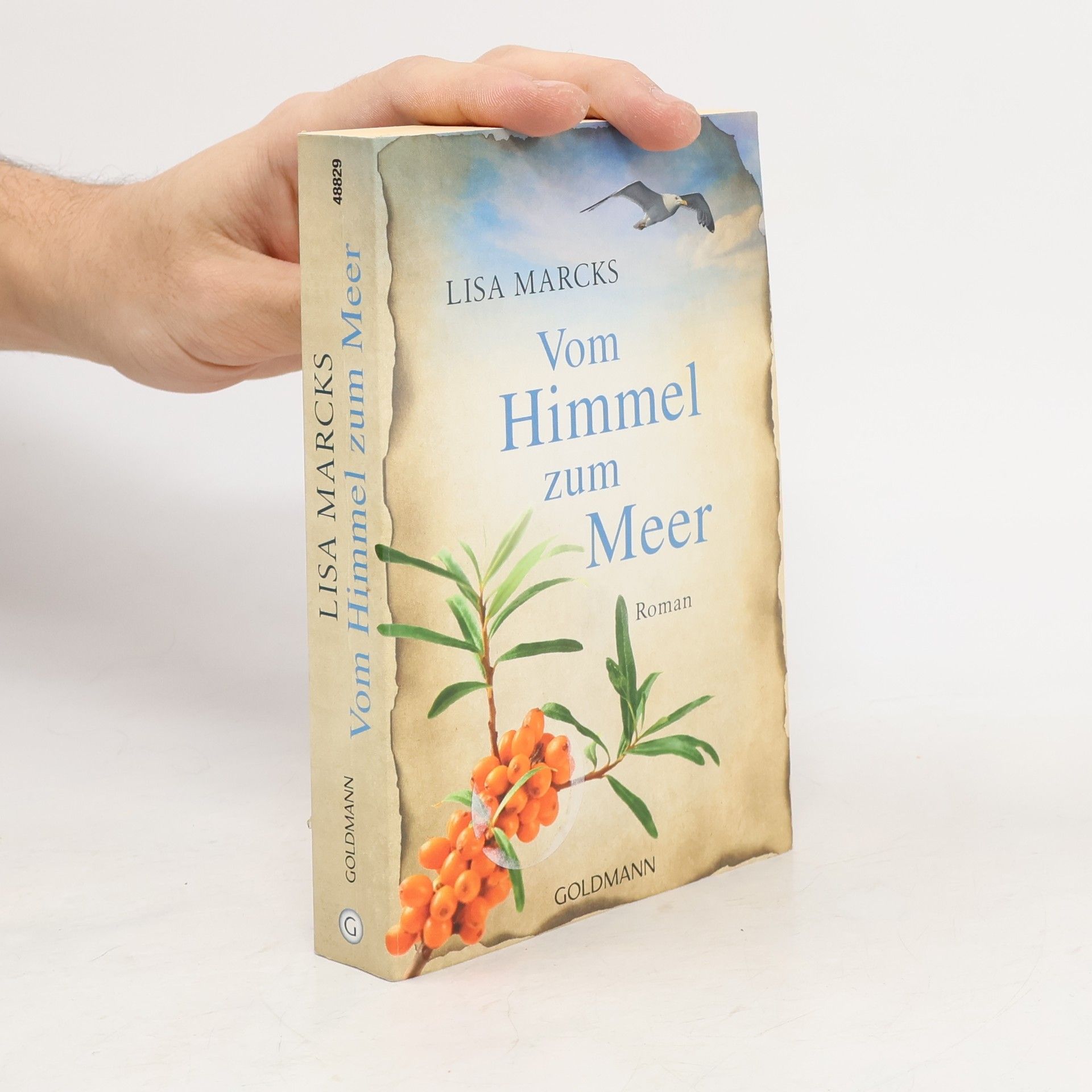 Kerstin Sgonina Vom Himmel zum Meer