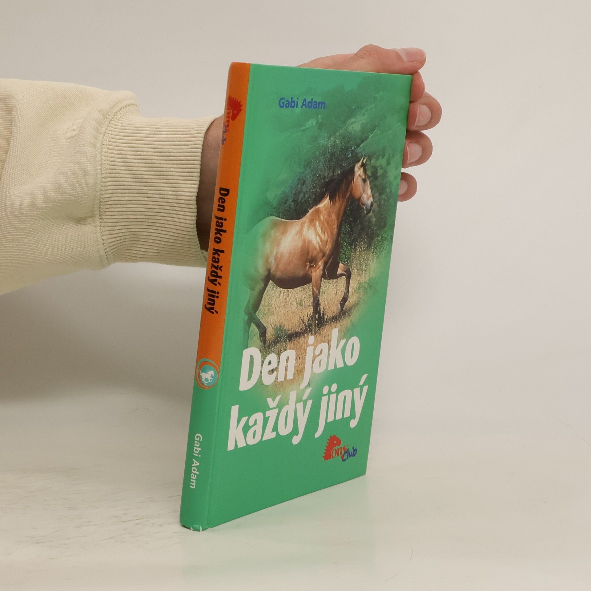 Gabi Adam Den jako každý jiný