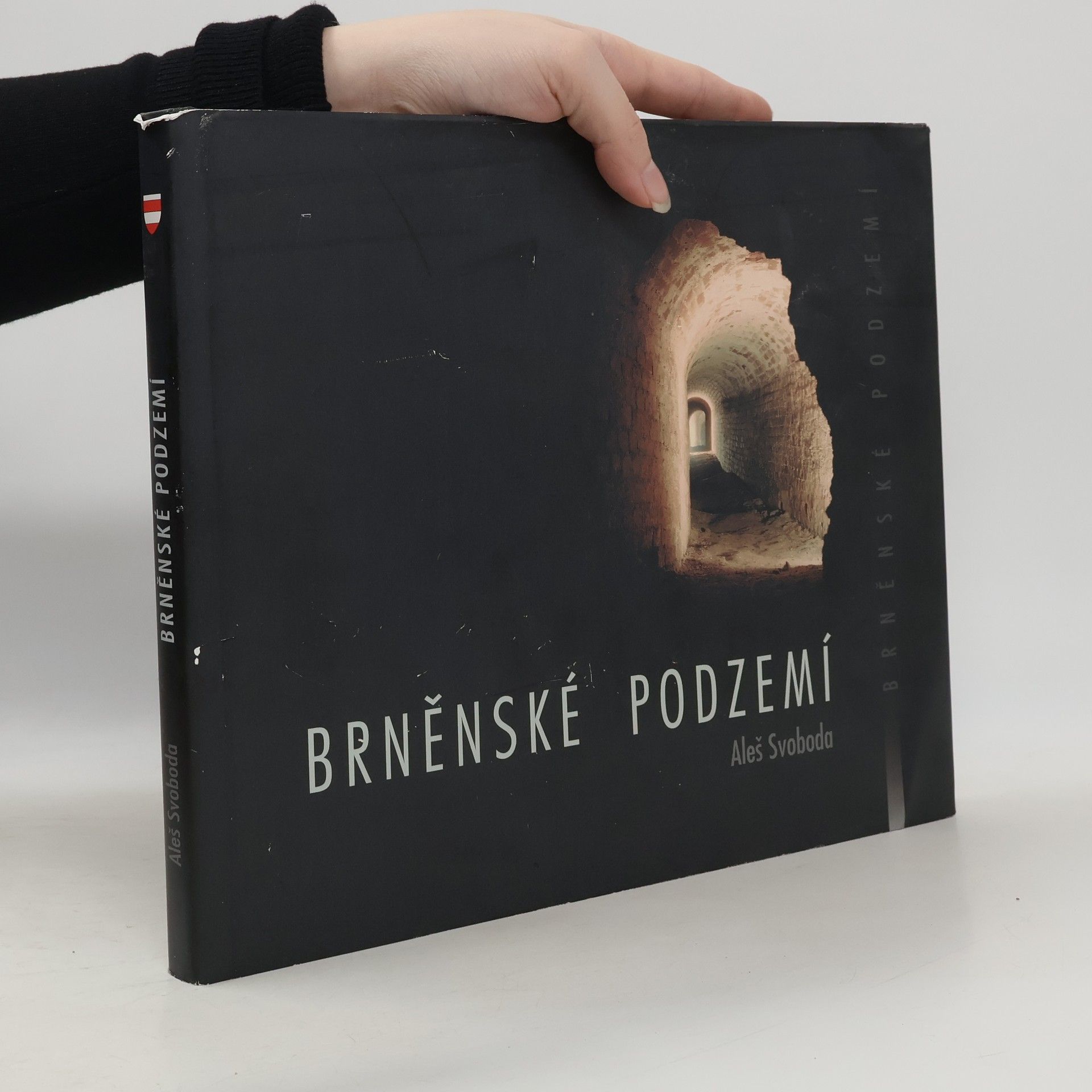 Aleš Svoboda Brněnské podzemí