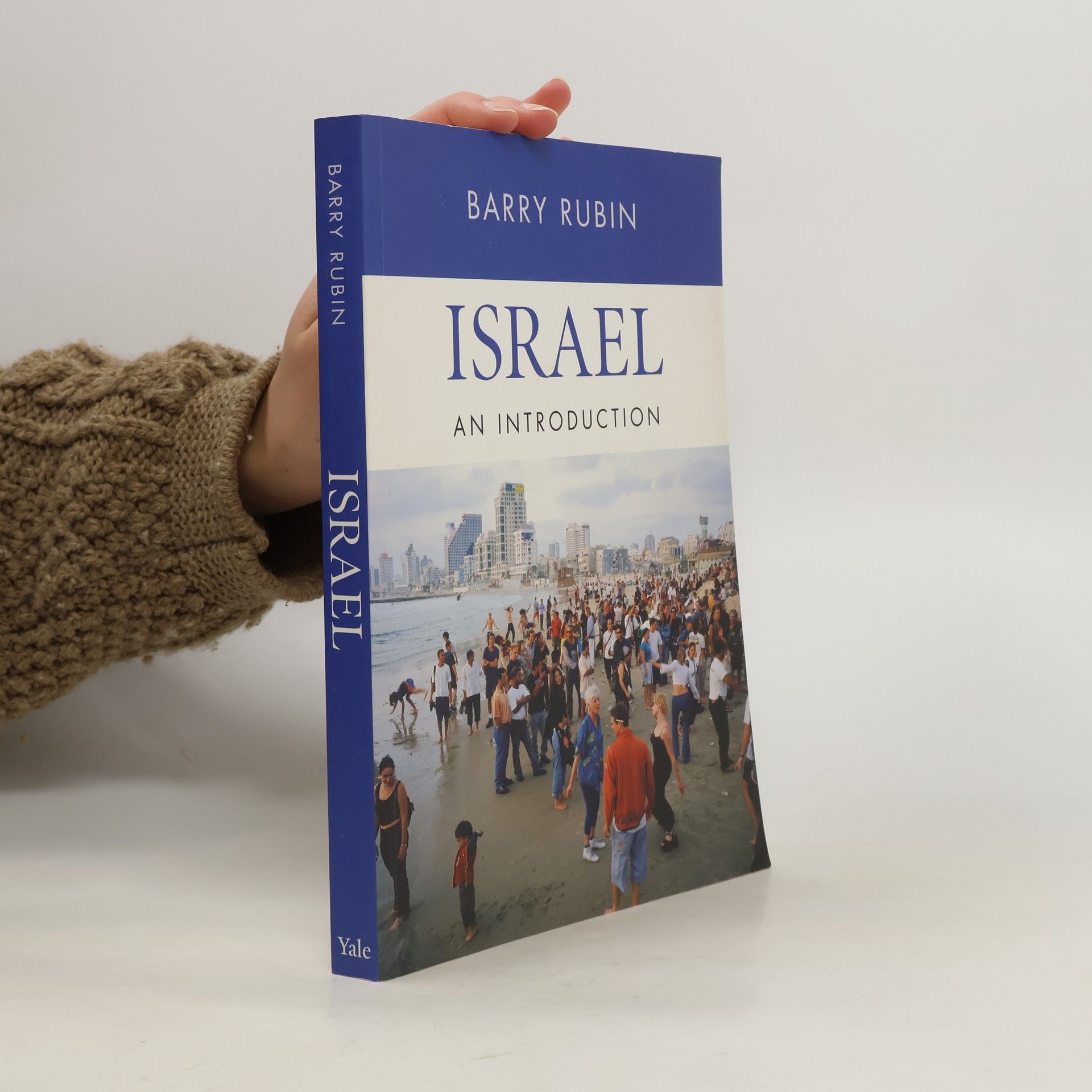 Barry M. Rubin Israel