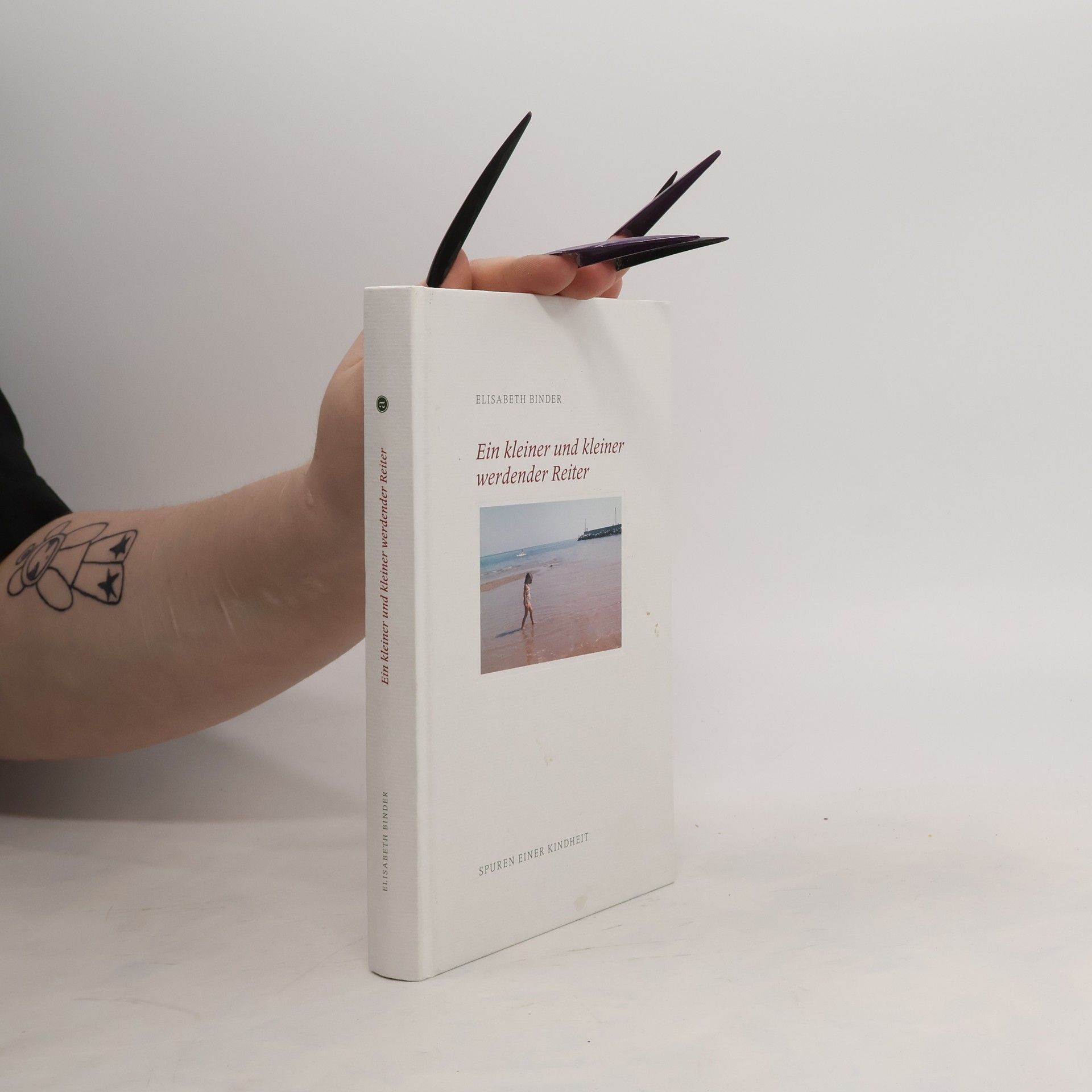 Elisabeth Binder Ein kleiner und kleiner werdender Reiter