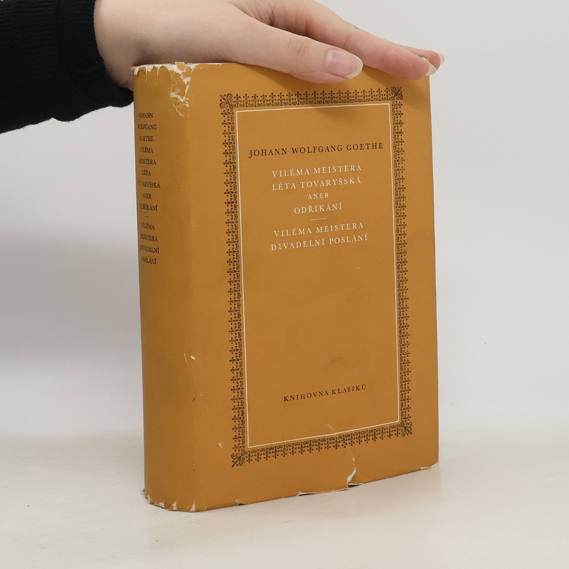 Viléma Meistera léta tovaryšská aneb odříkání. Viléma Meistera divadelní poslání