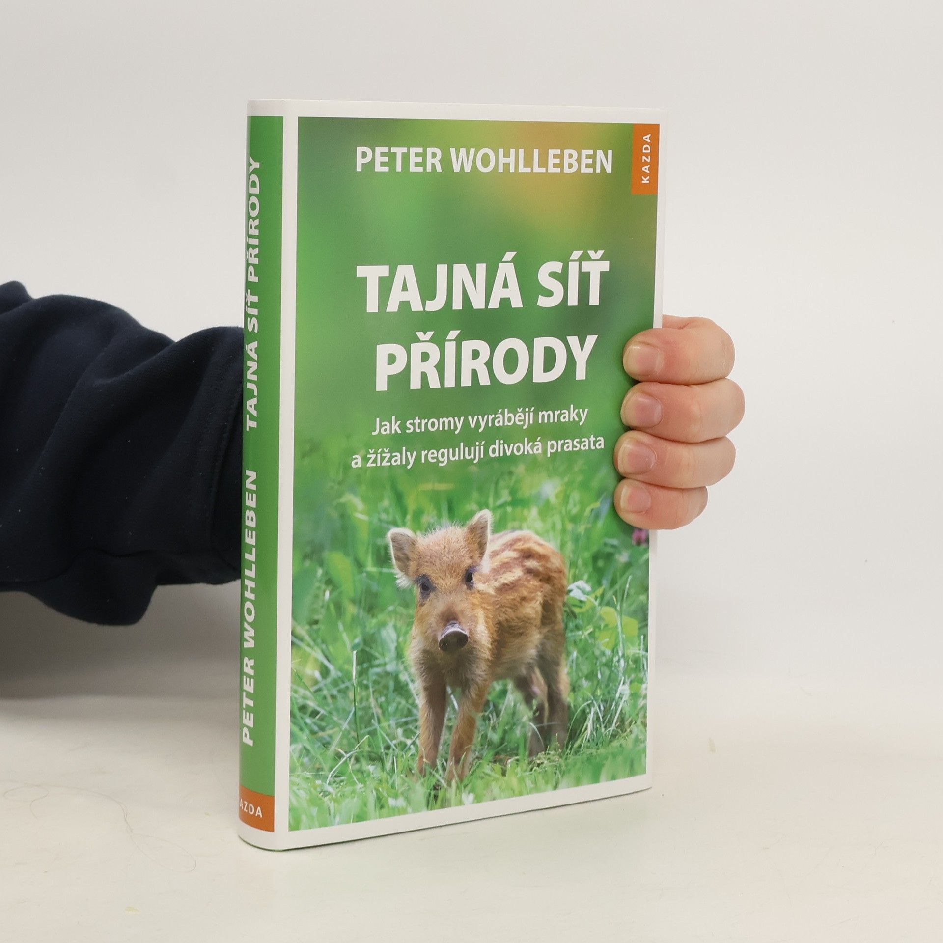 Peter Wohlleben Tajná síť přírody: Jak stromy vyrábějí mraky a žížaly regulují divoká prasata