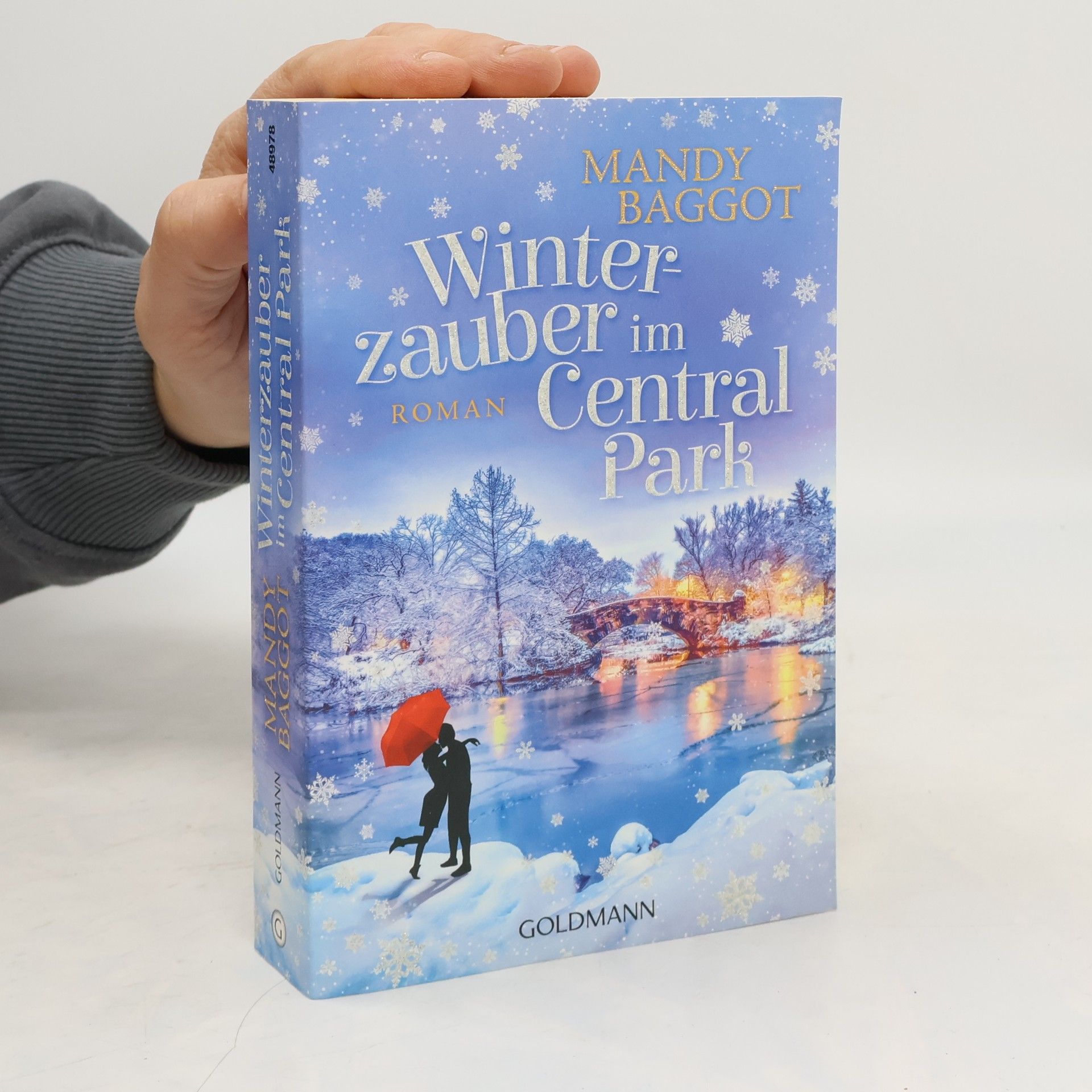 Mandy Baggot Winterzauber im Central Park