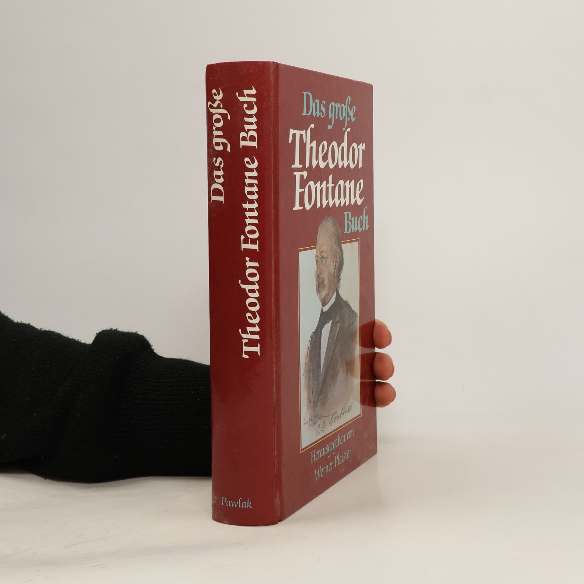 Theodor Fontane Das grosse Theodor-Fontane-Buch