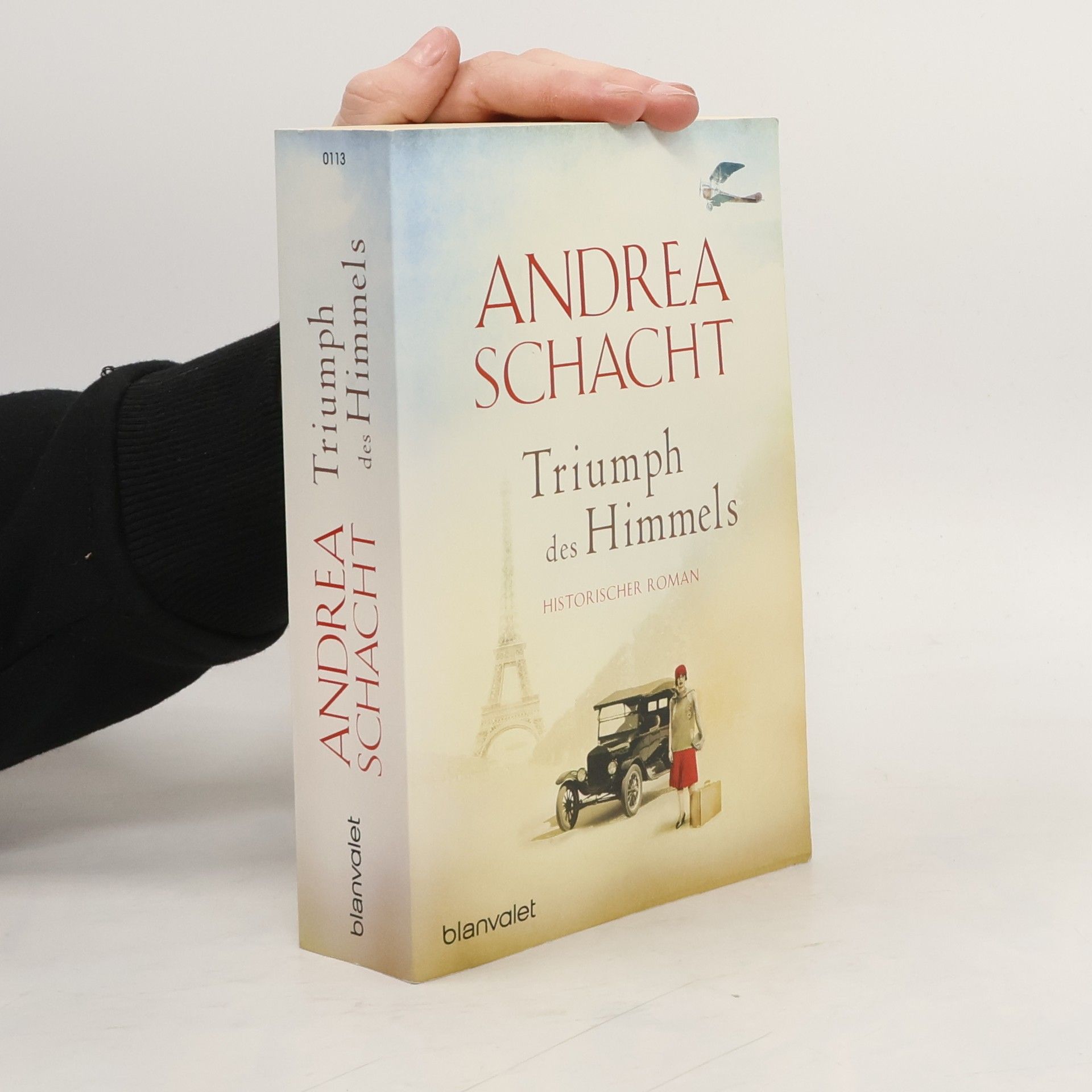 Andrea Schacht Triumph des Himmels