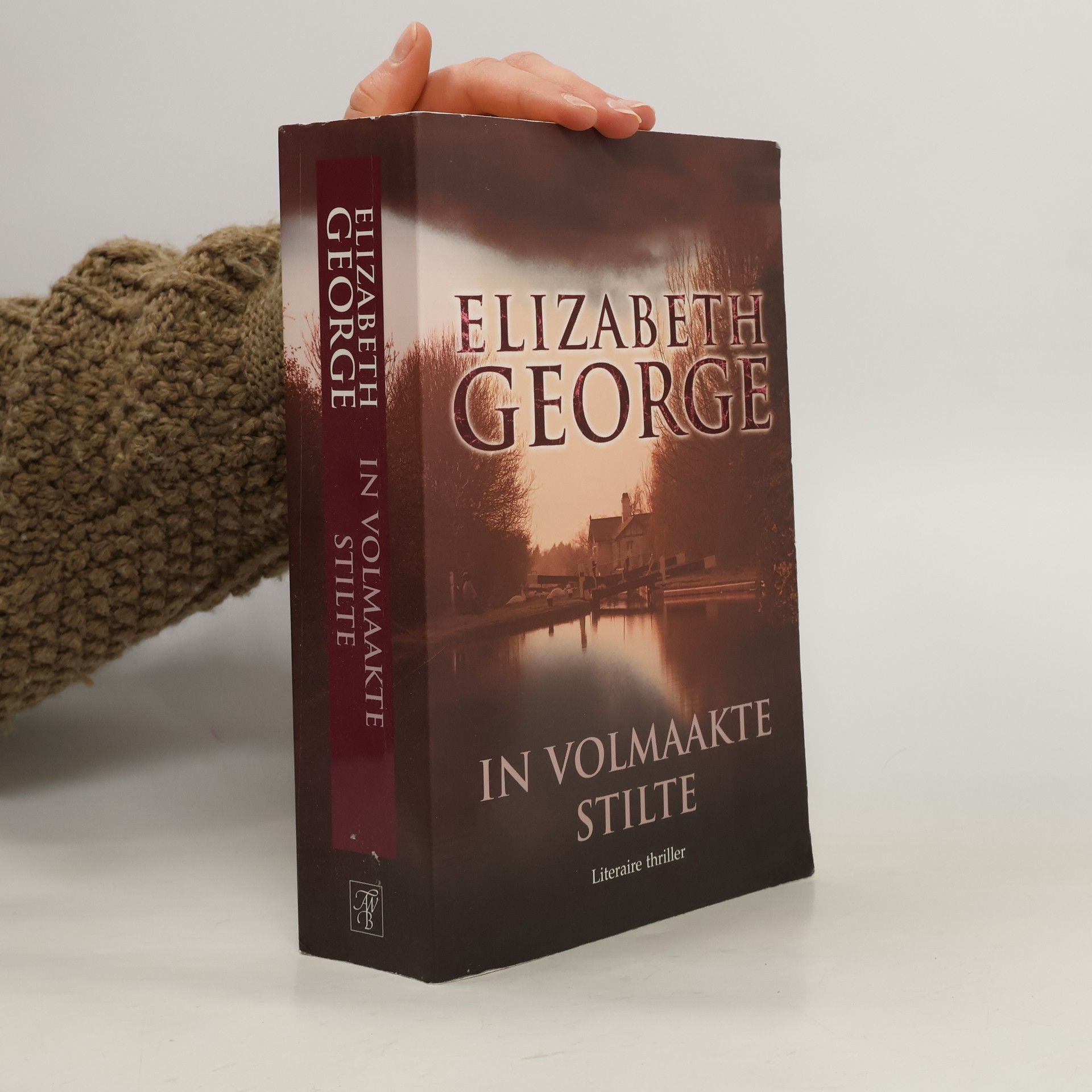 Jolanda te Lindert In volmaakte stilte / druk 1