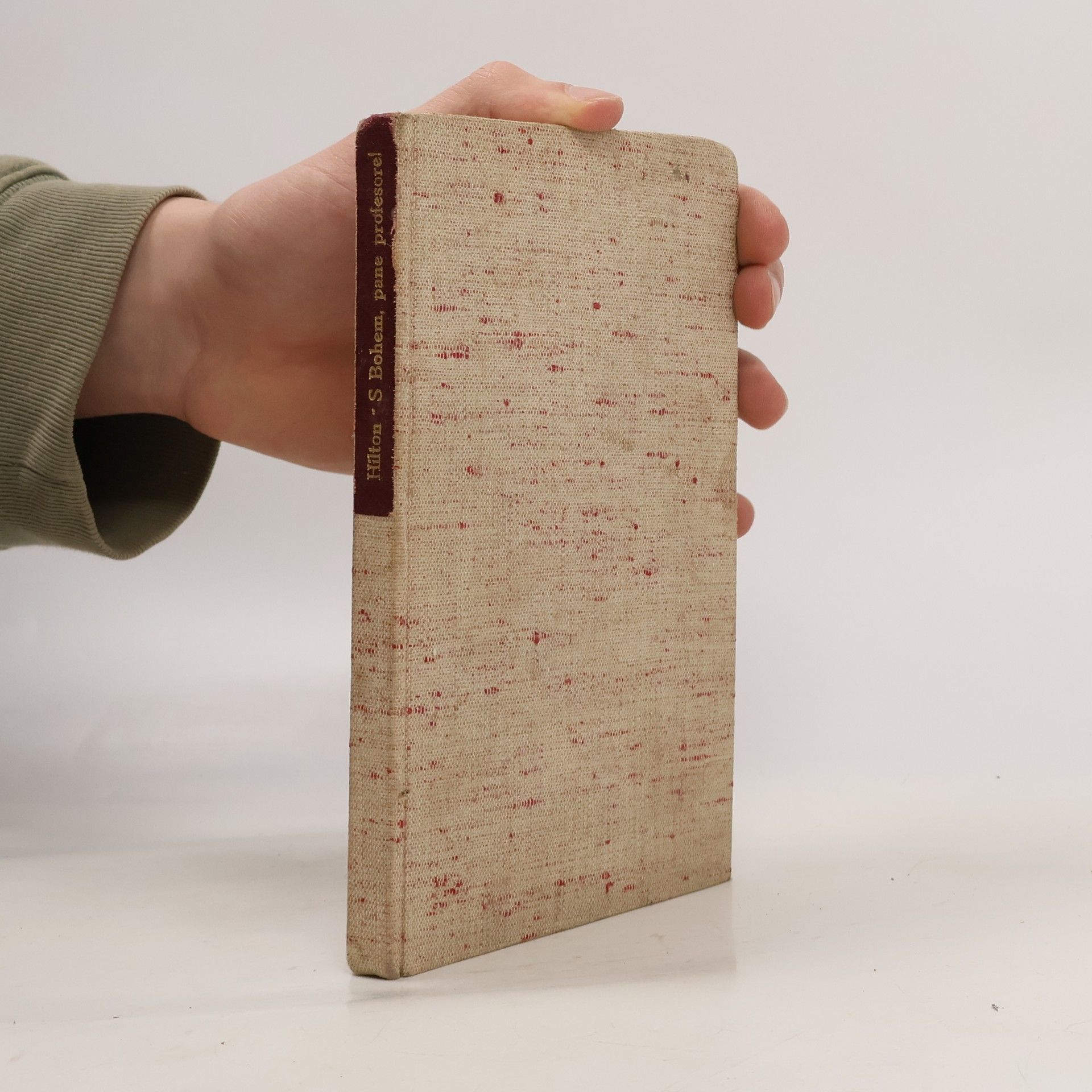 S Bohem, pane profesore!