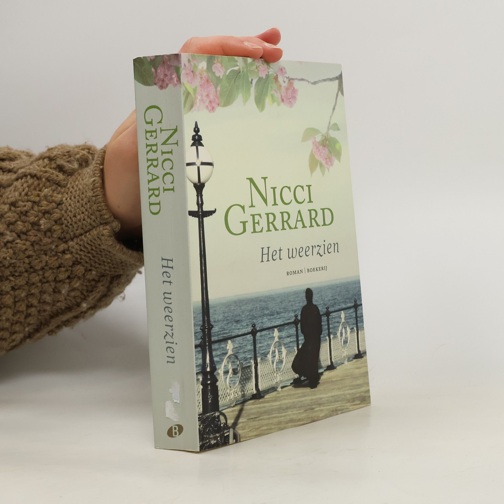 Nicci Gerrard Het weerzien
