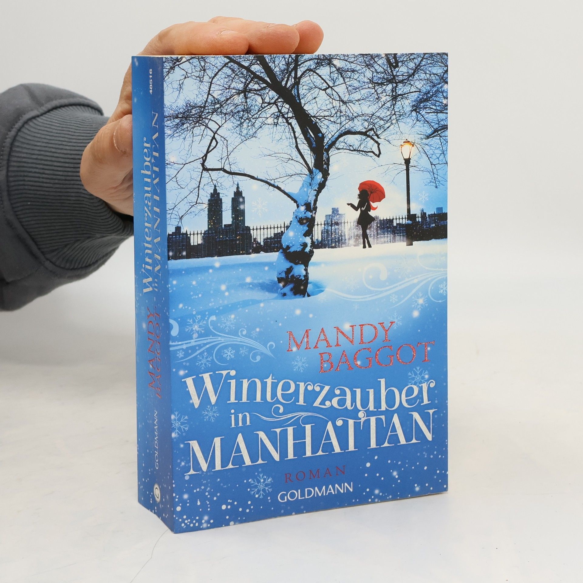 Winterzauber in Manhattan