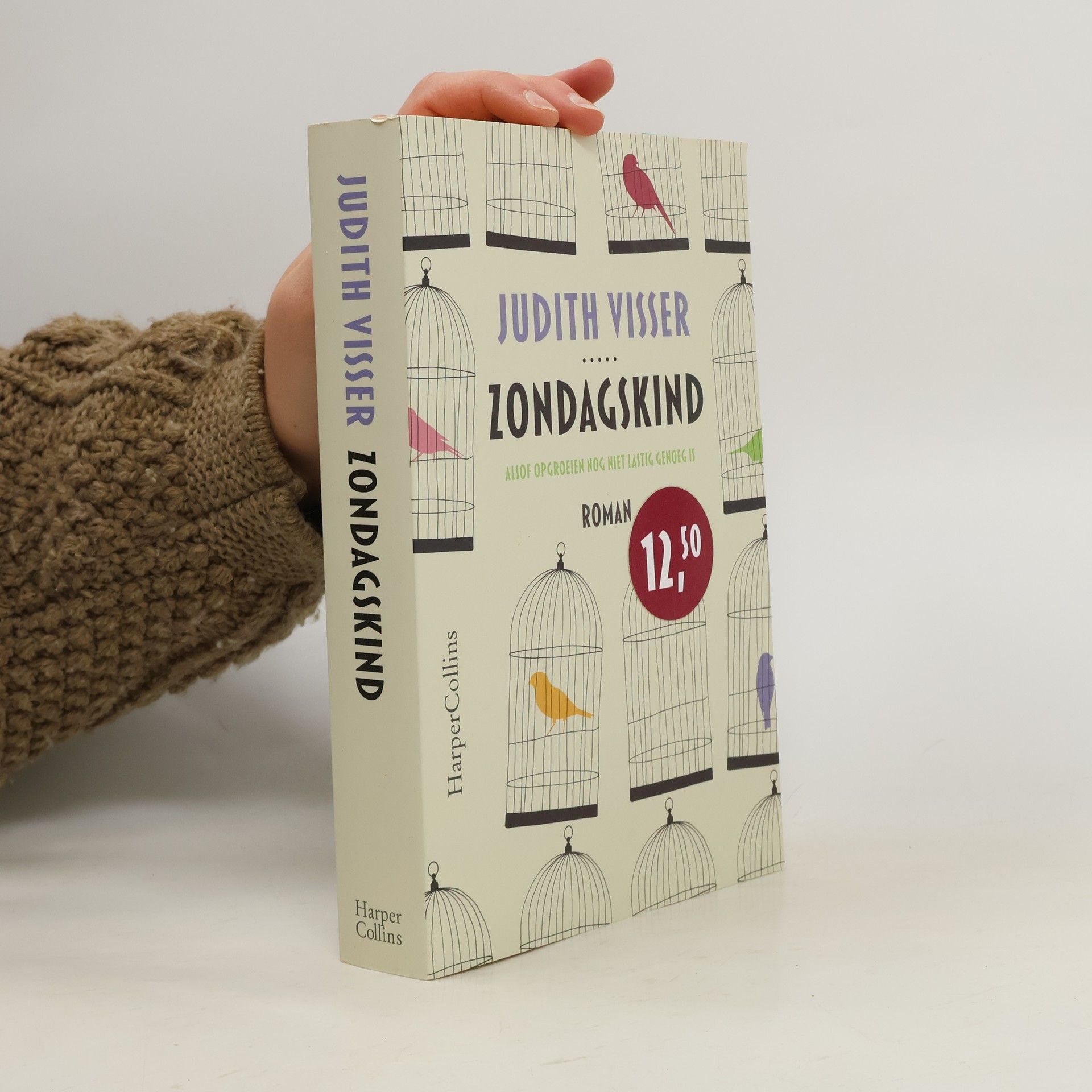 Judith Visser Zondagskind