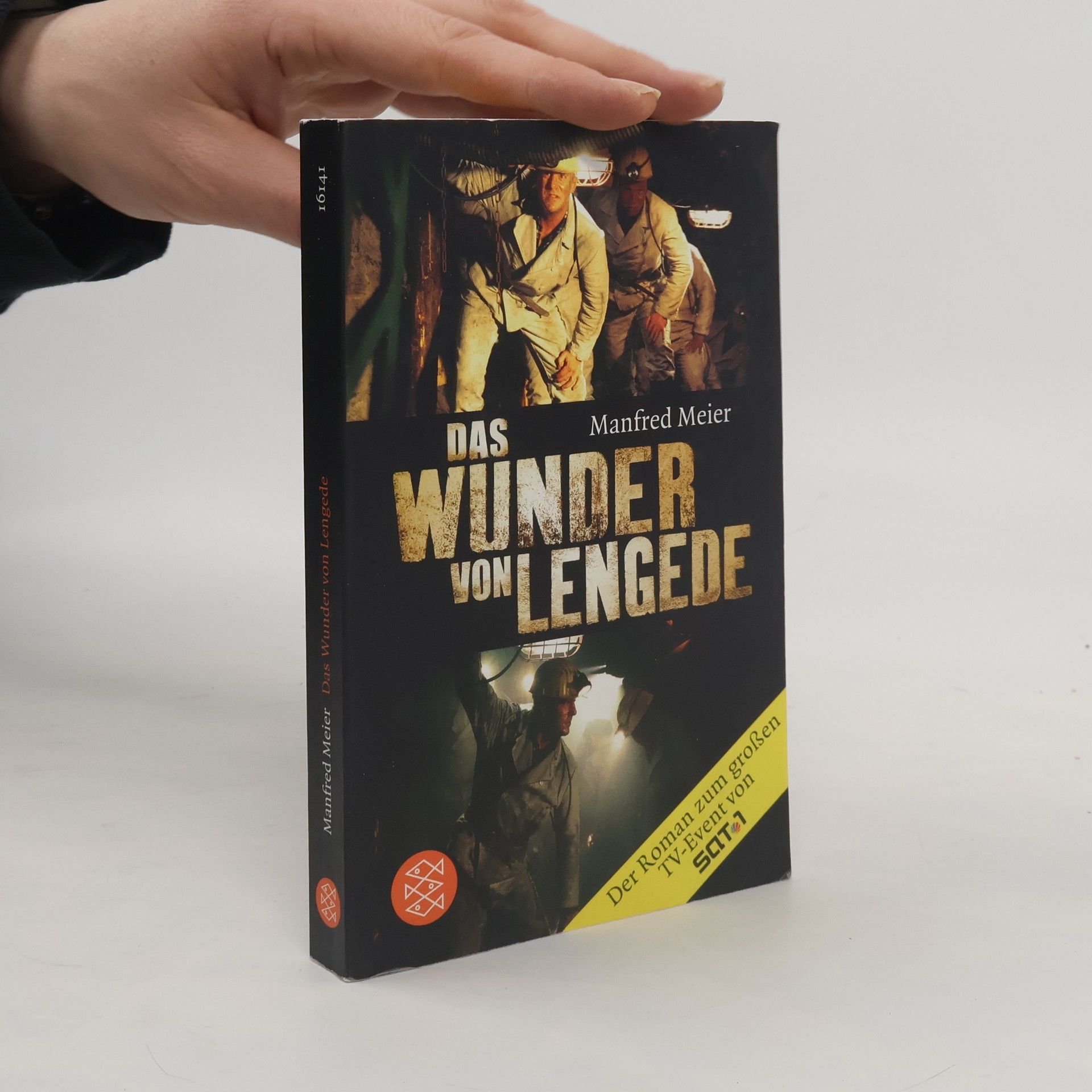 Manfred Meier-Sieden Das Wunder von Lengede