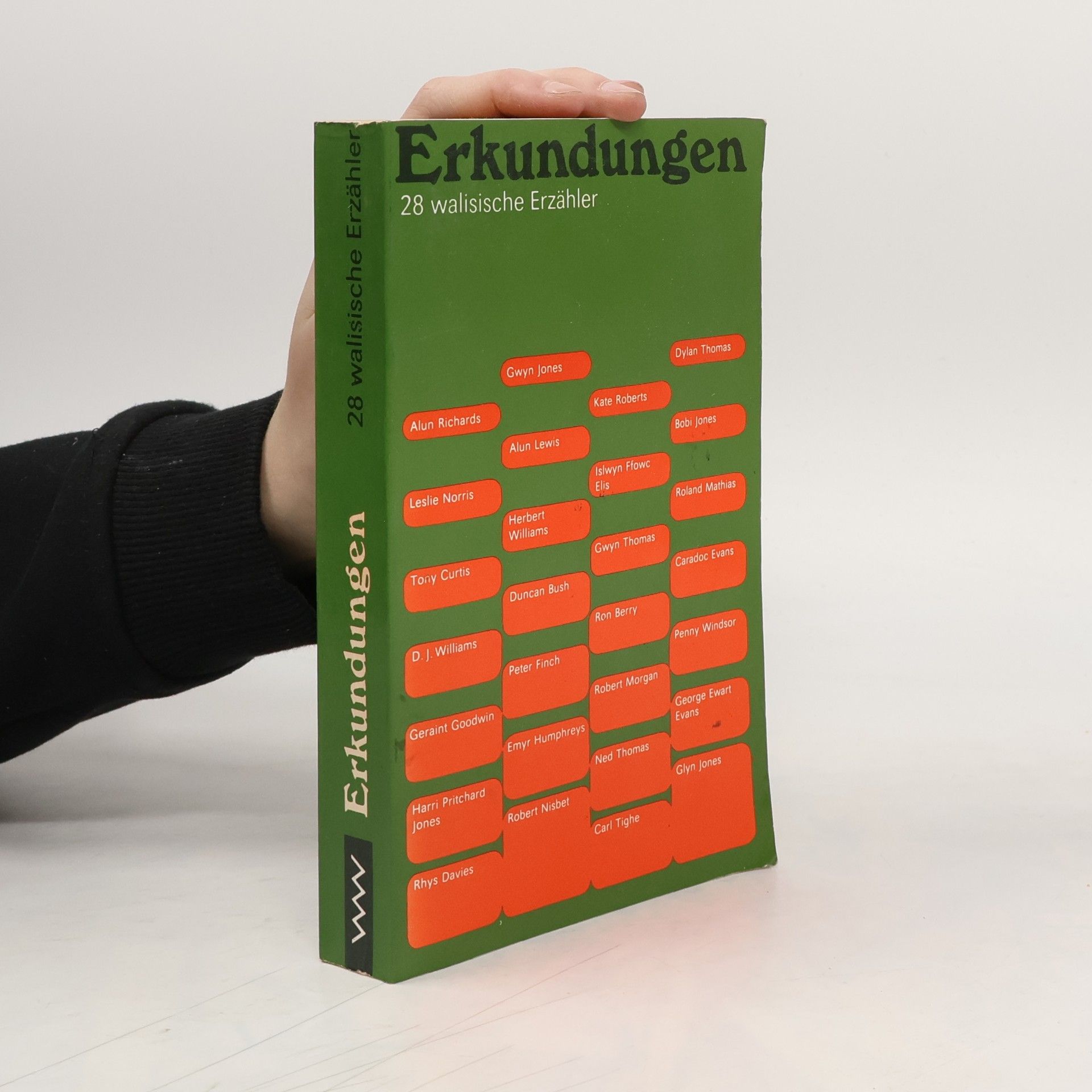 Erkundungen: 28 walisische Erzähler