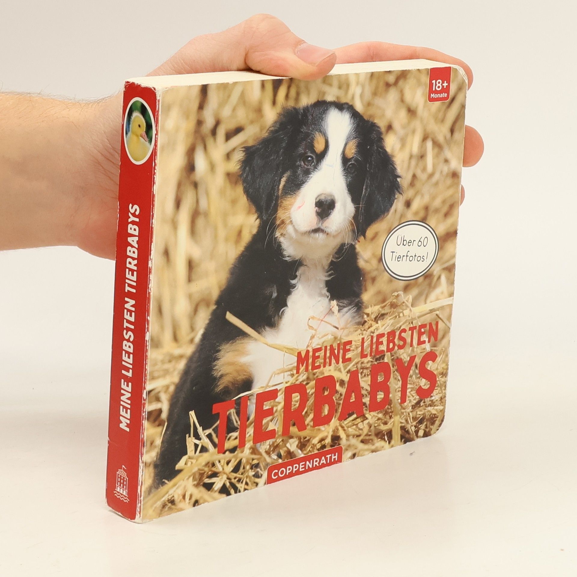 Autorenkollektiv Meine liebsten Tierbabys