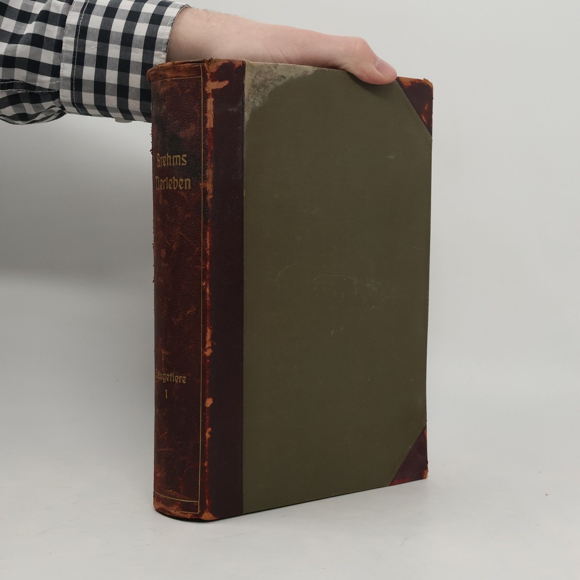 Alfred Edmund Brehm Brehms Tierleben