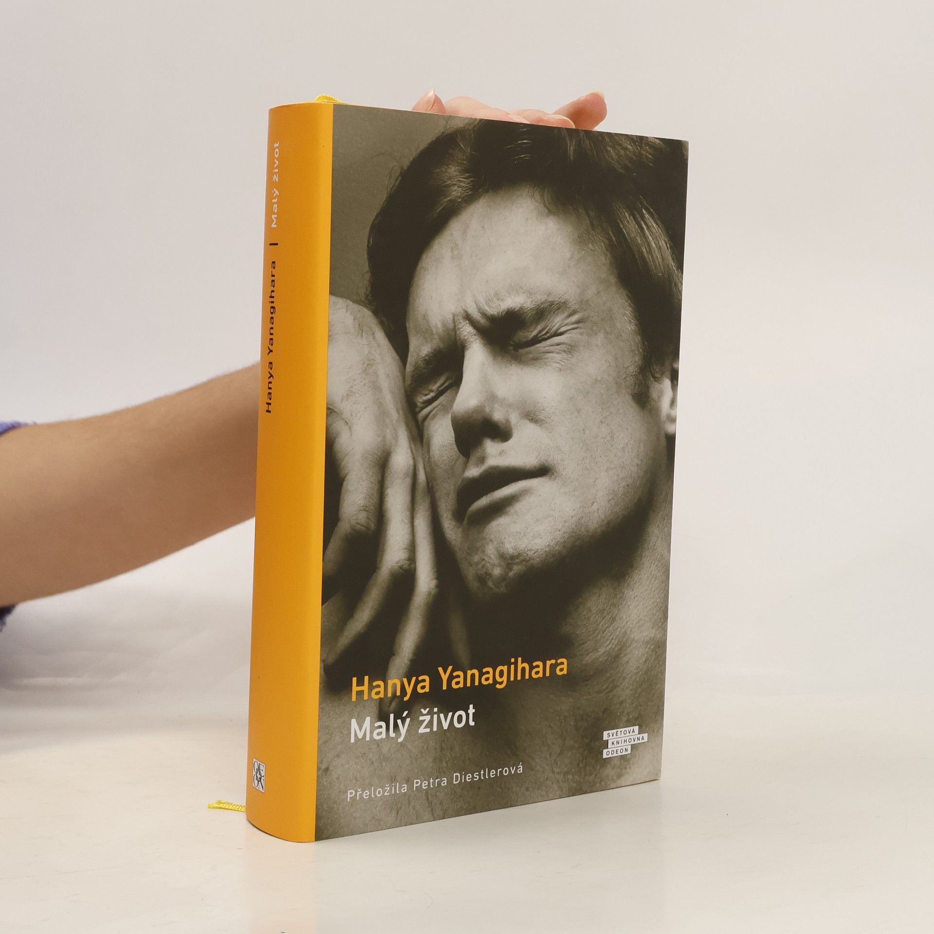 Hanya Yanagihara Malý život