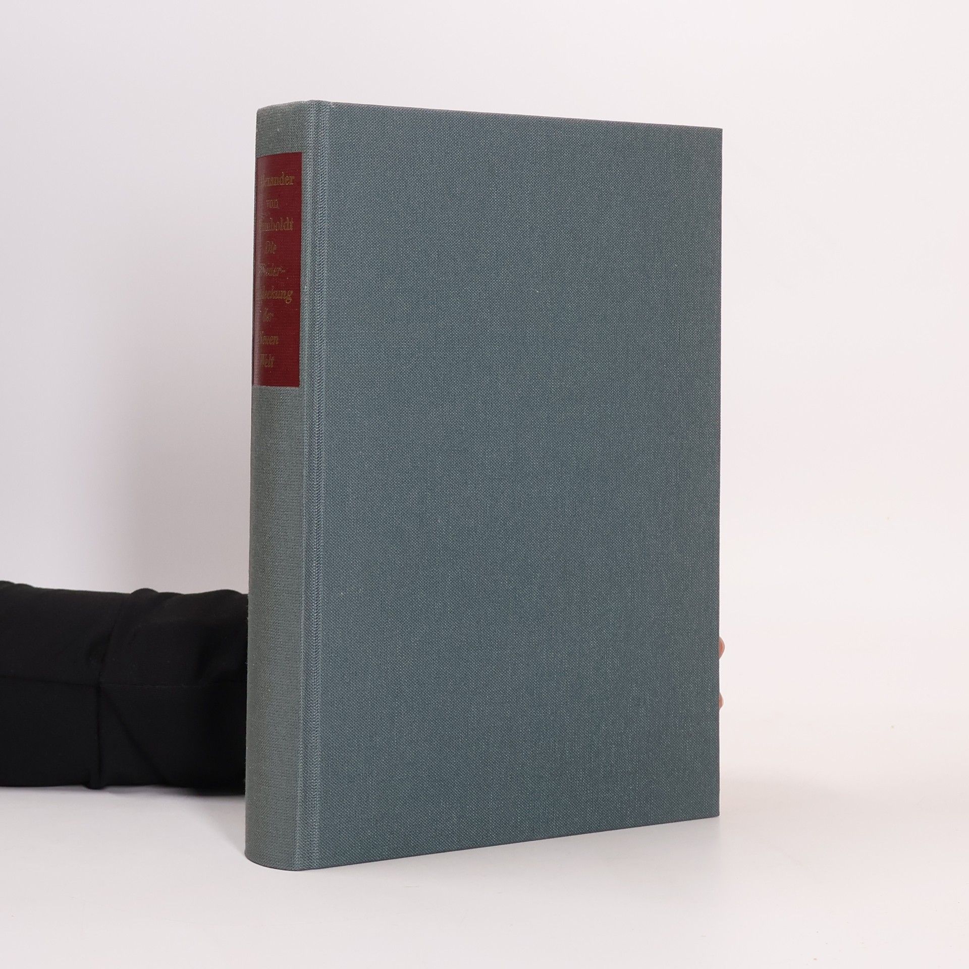 Die Wiederentdeckung der Neuen Welt