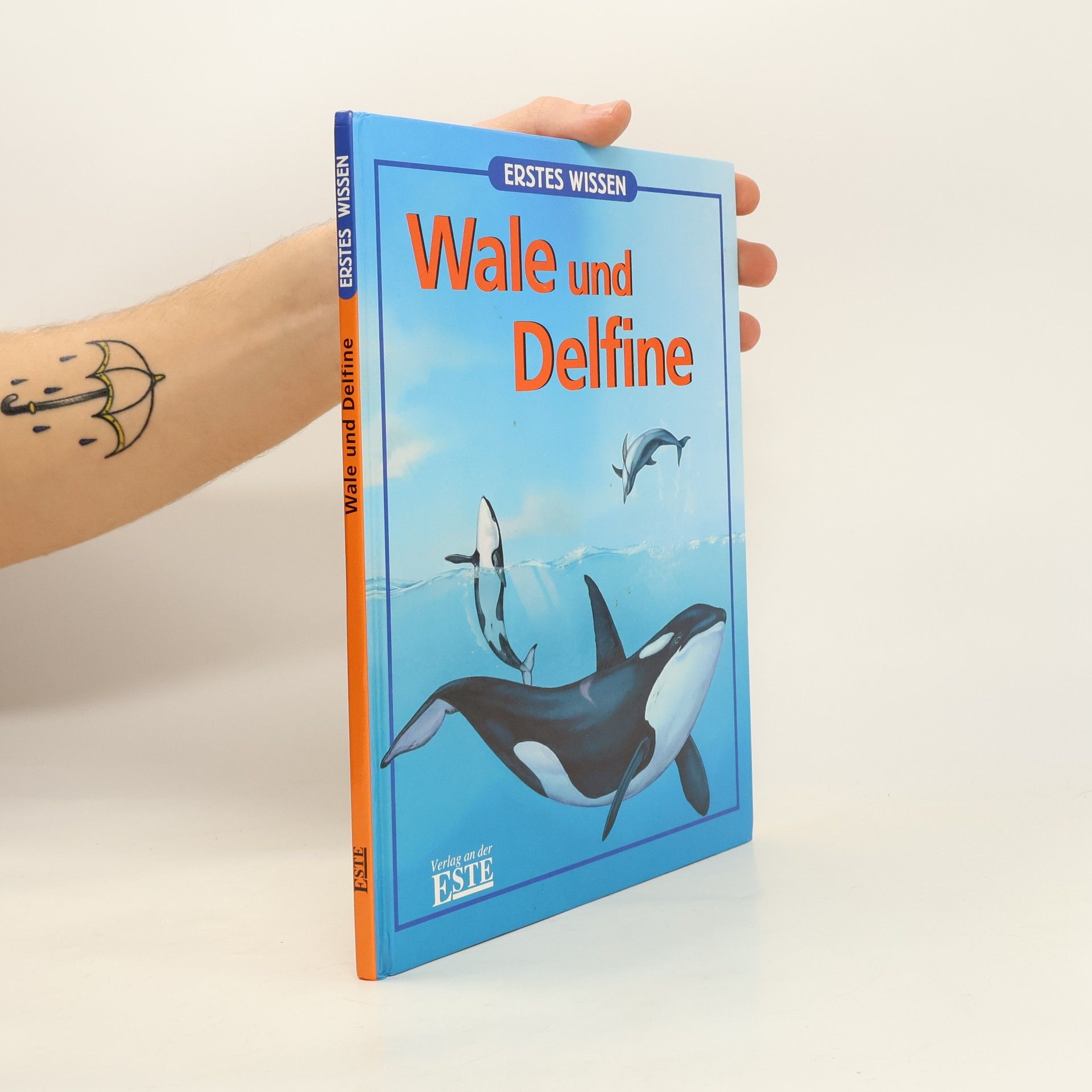 Patricia Mennen Wale und Delfine