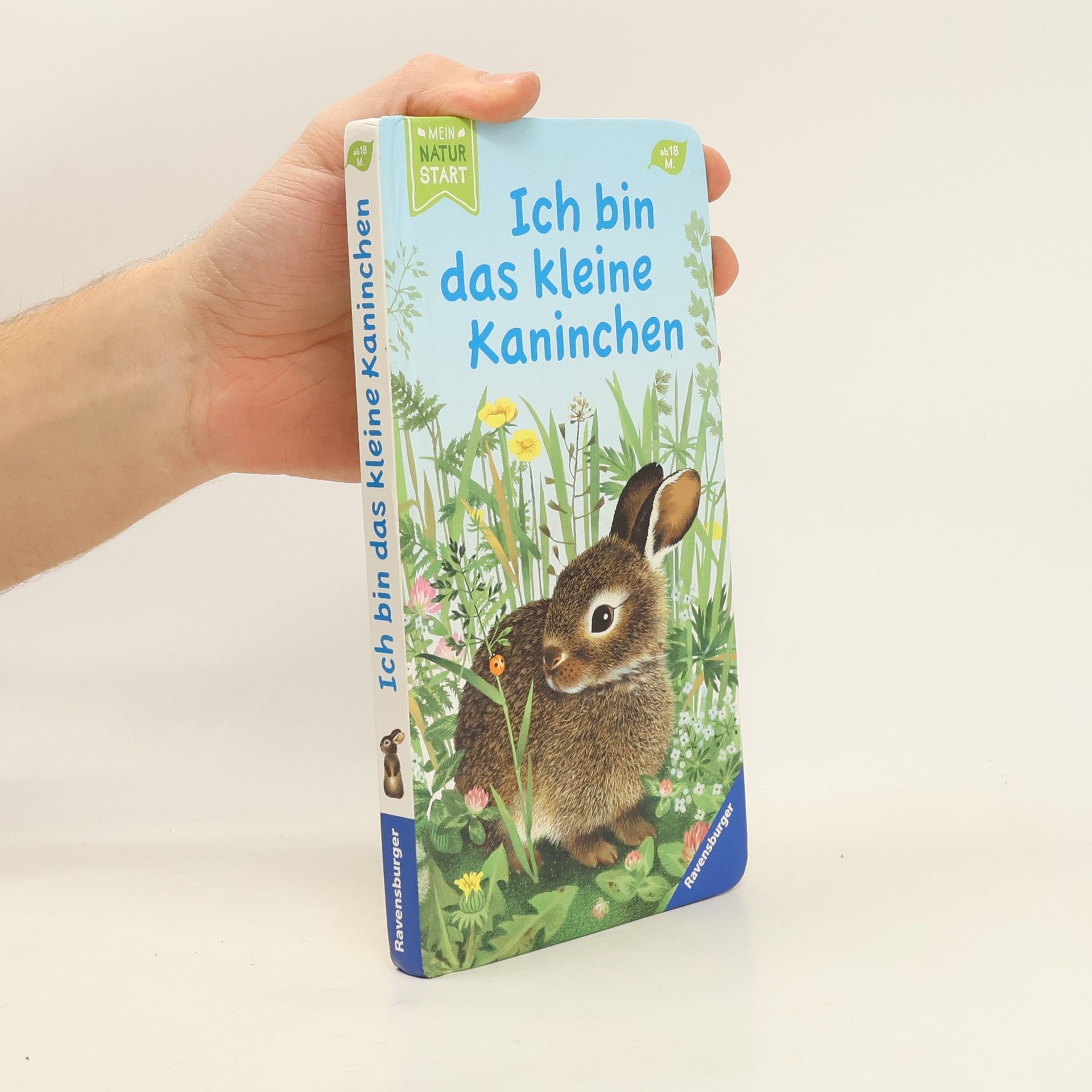 Ich bin das kleine Kaninchen