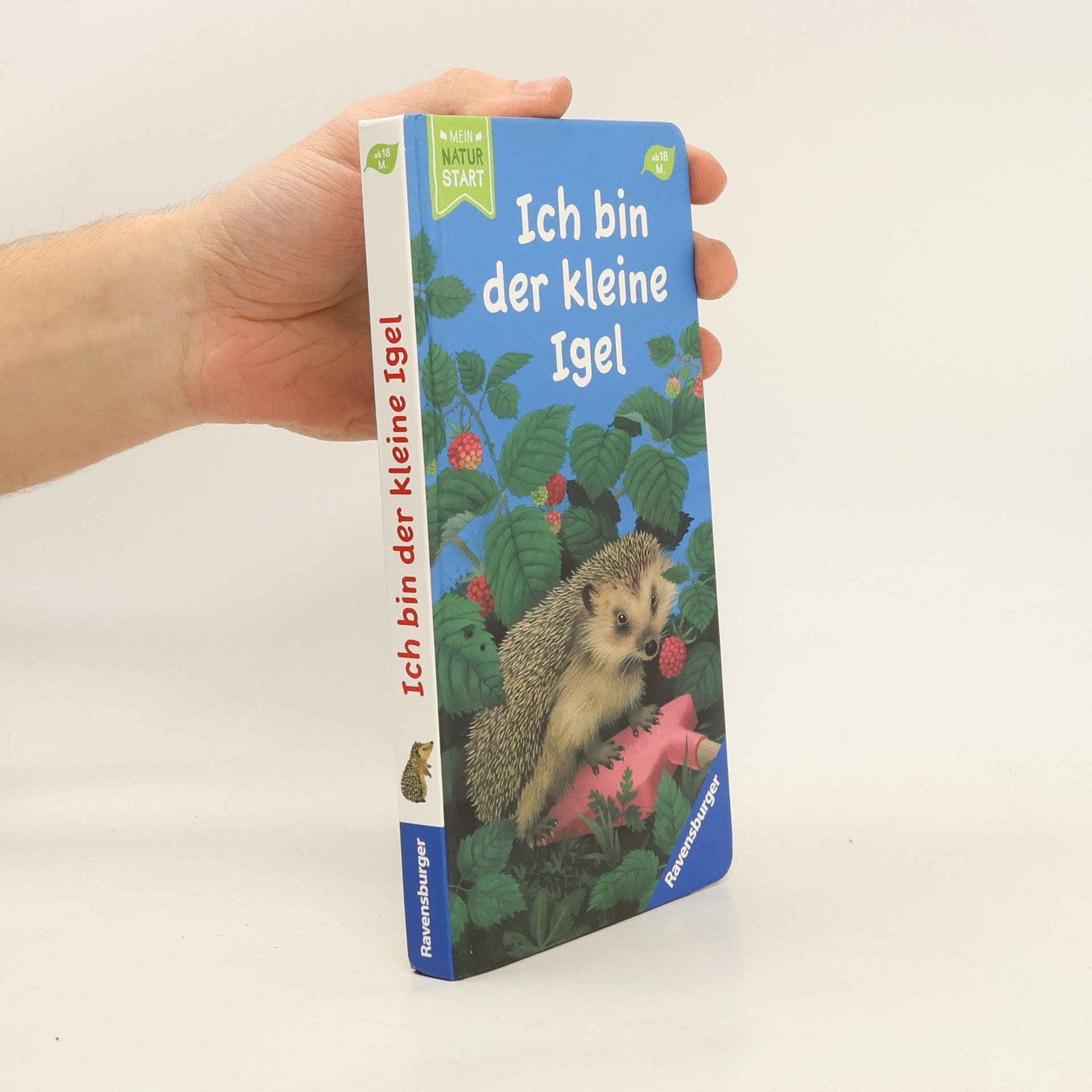 Ich bin der kleine Igel