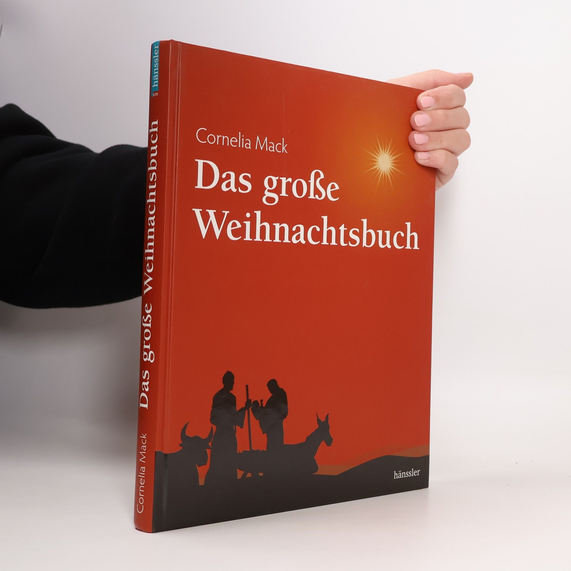 Cornelia Mack Das große Weihnachtsbuch