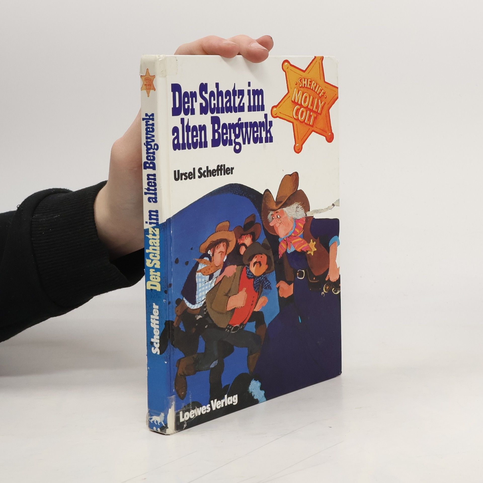 Ursula Kohlsaat-Scheffler Der Schatz im alten Bergwerk