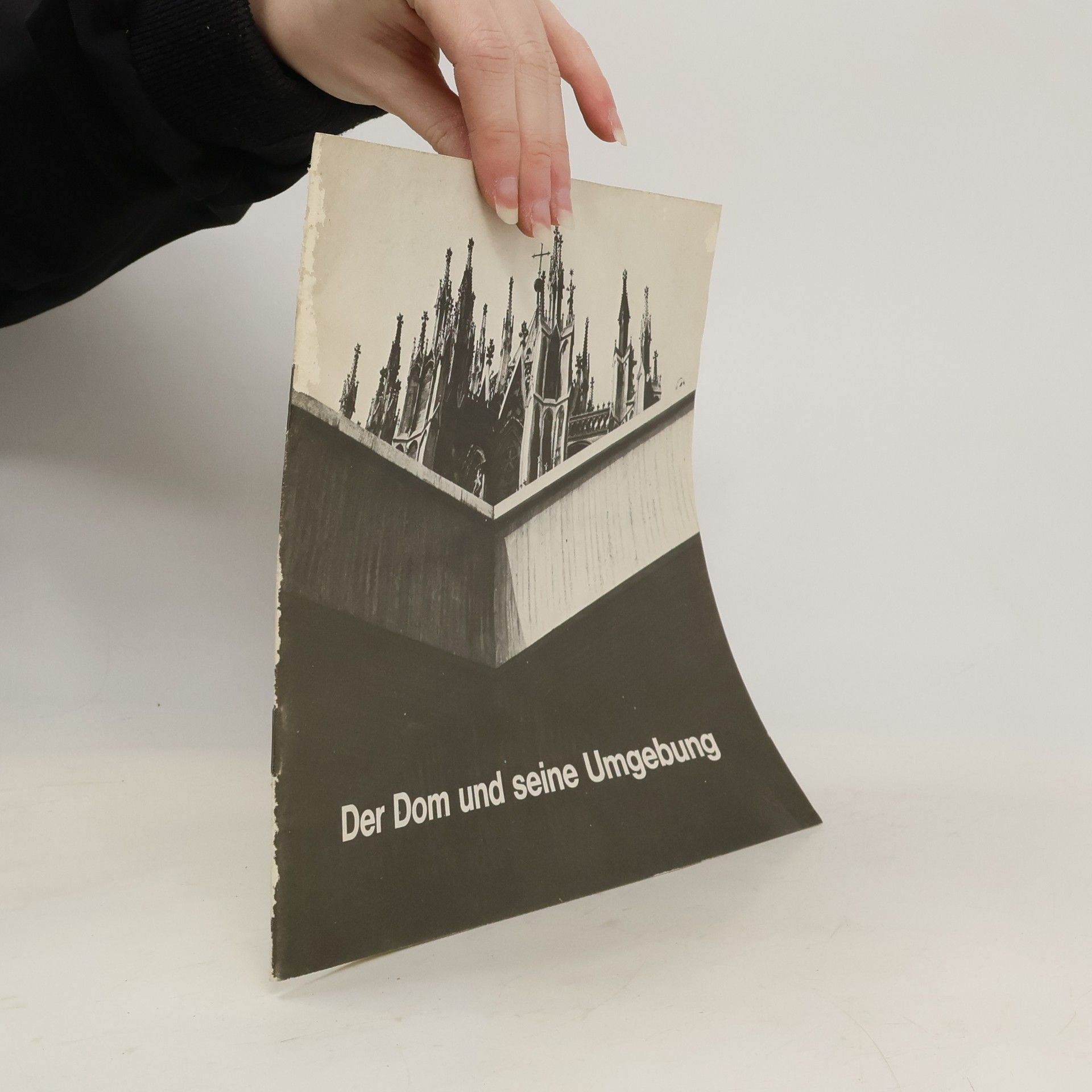 Kolektív autorov Der Dom und seine Umgebung