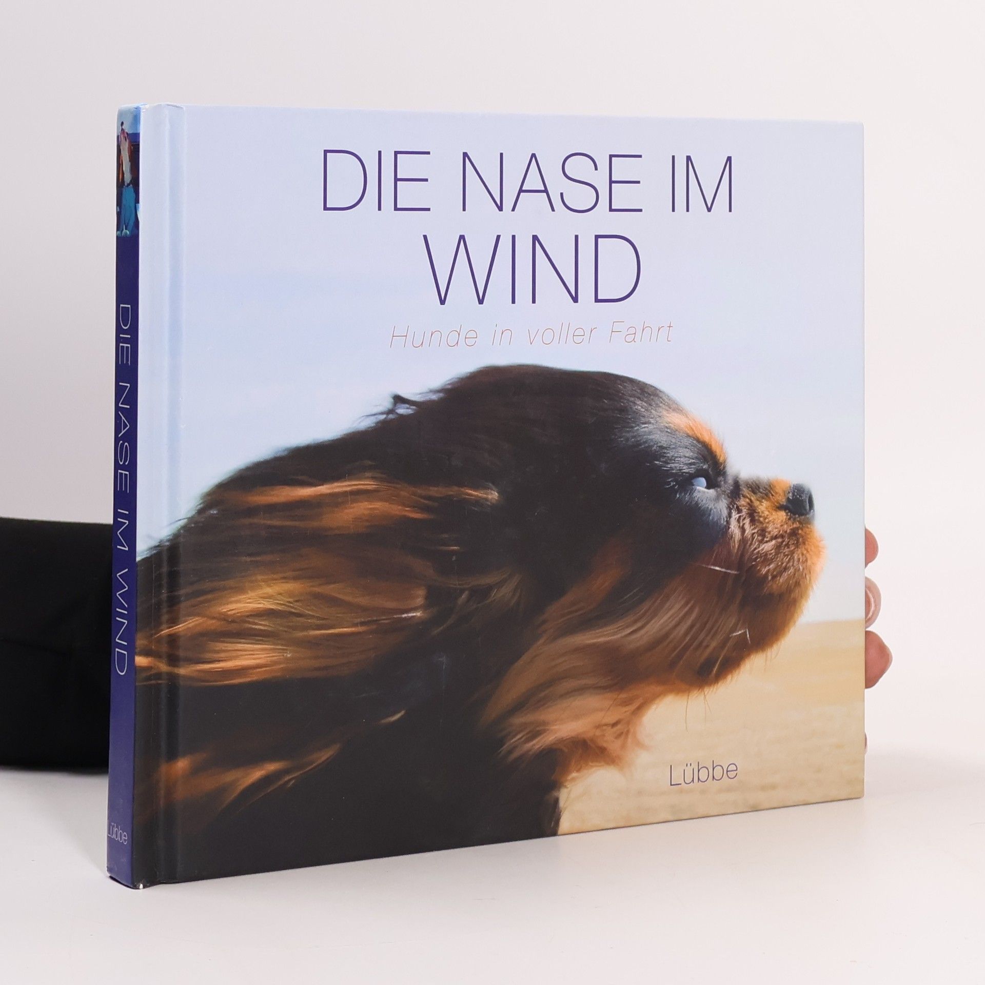 Die Nase im Wind