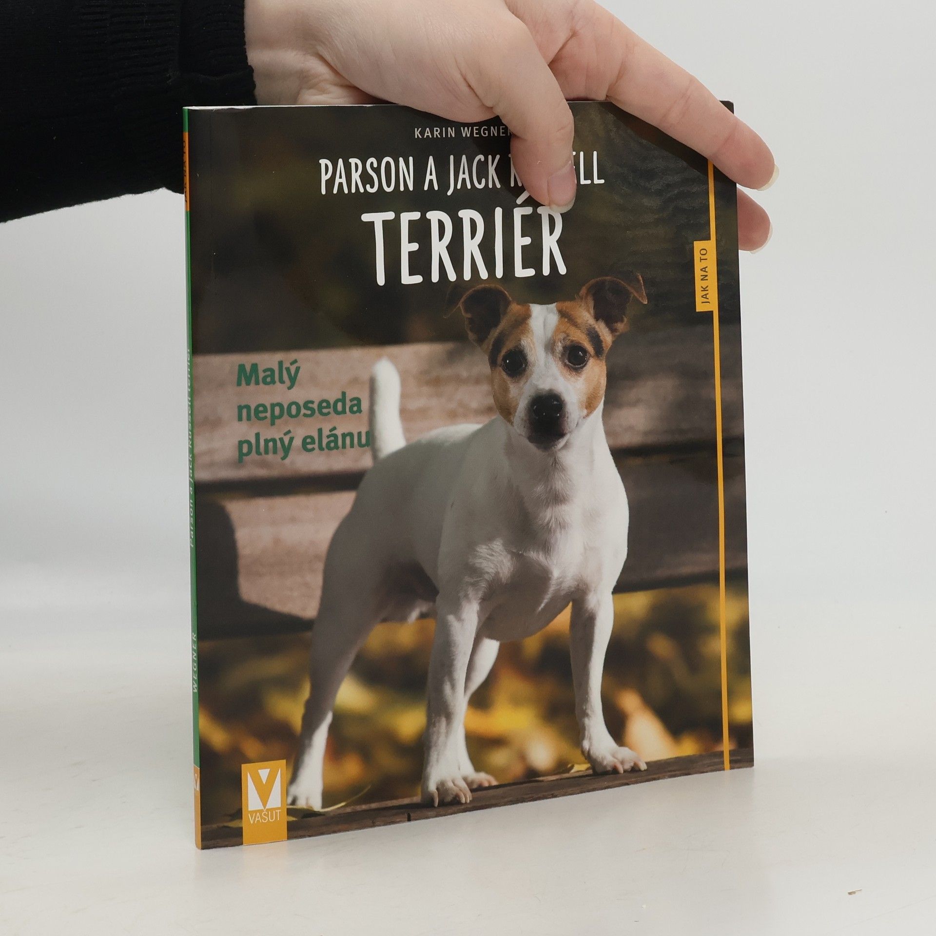 Parson a Jack Russell teriér - Malý neposeda plný elánu