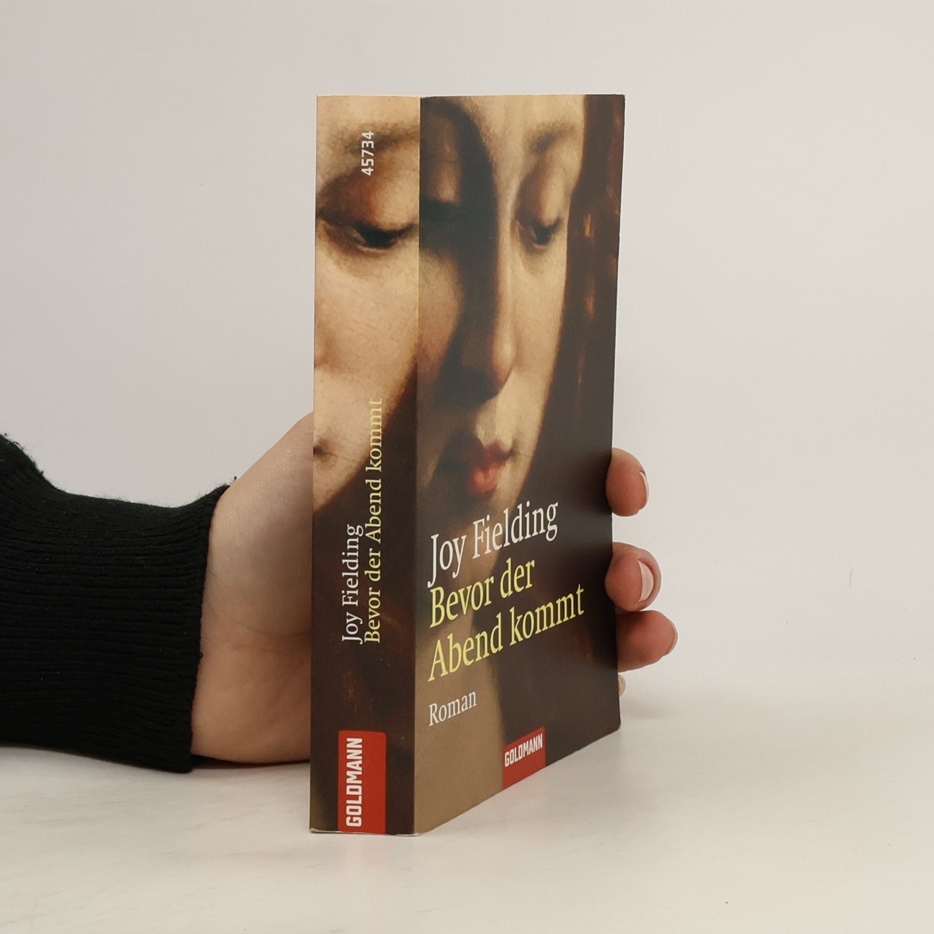 Joy Fielding Bevor der Abend kommt