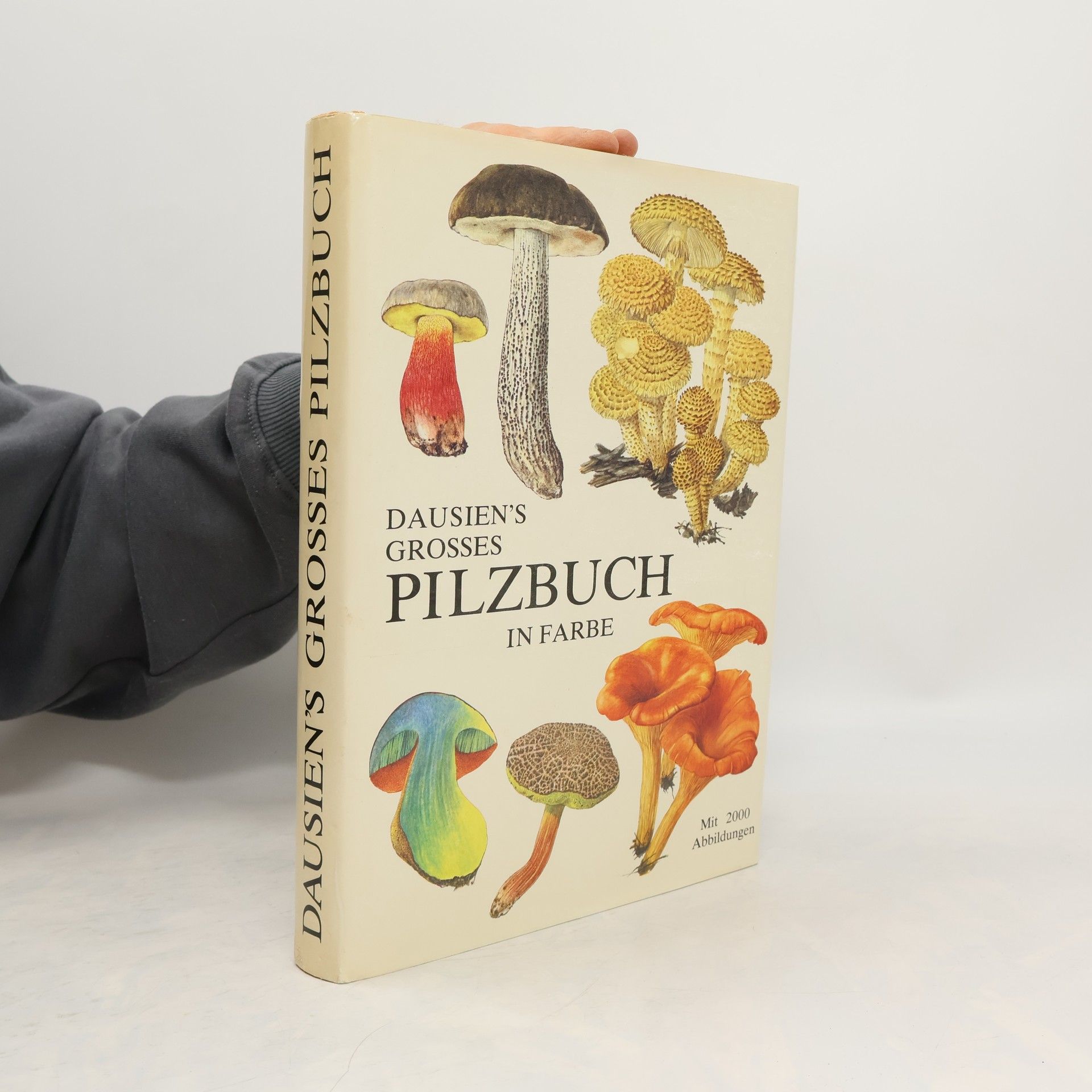 Mirko Svrček Dausien's grosses Pilzbuch in Farbe