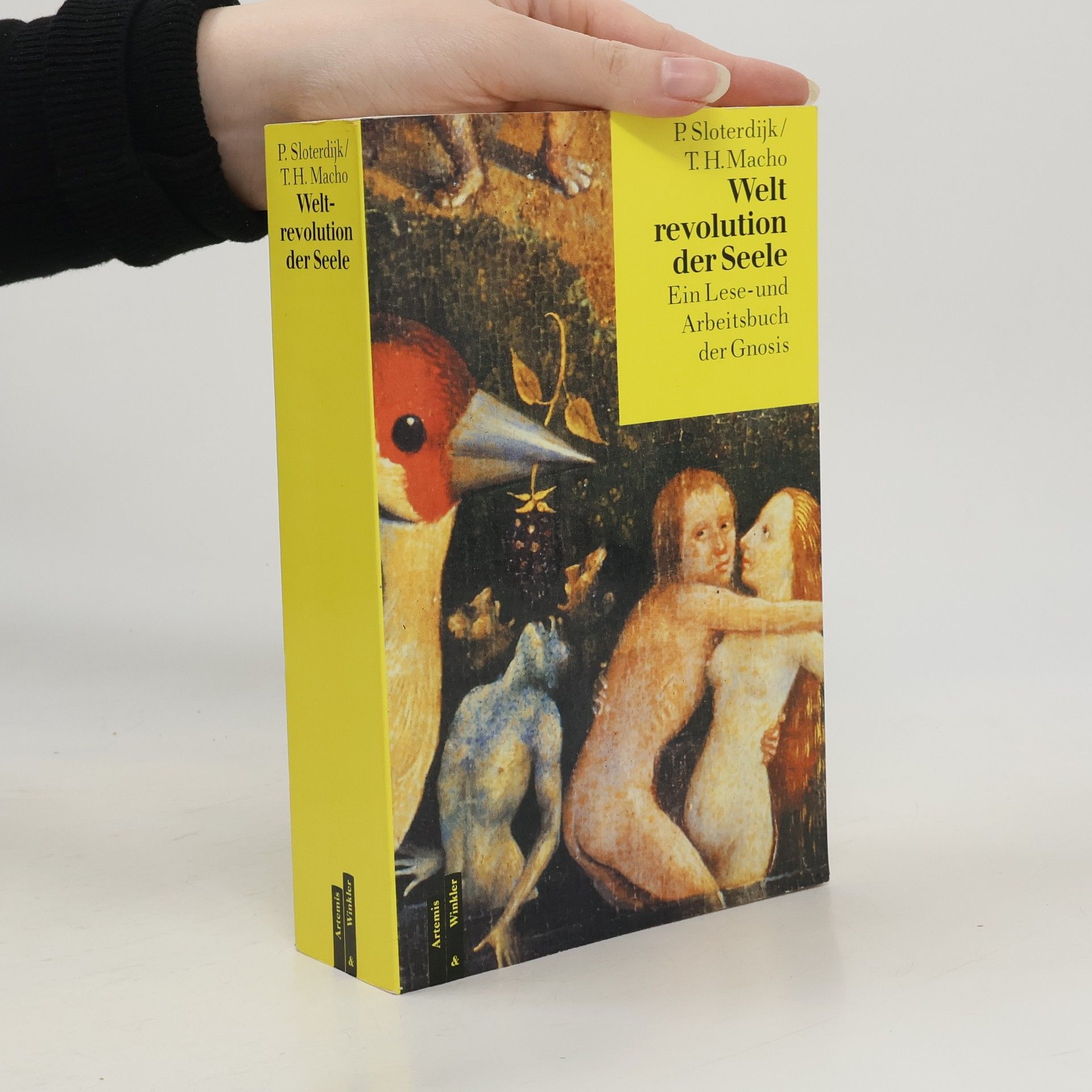 Peter Sloterdijk Weltrevolution der Seele