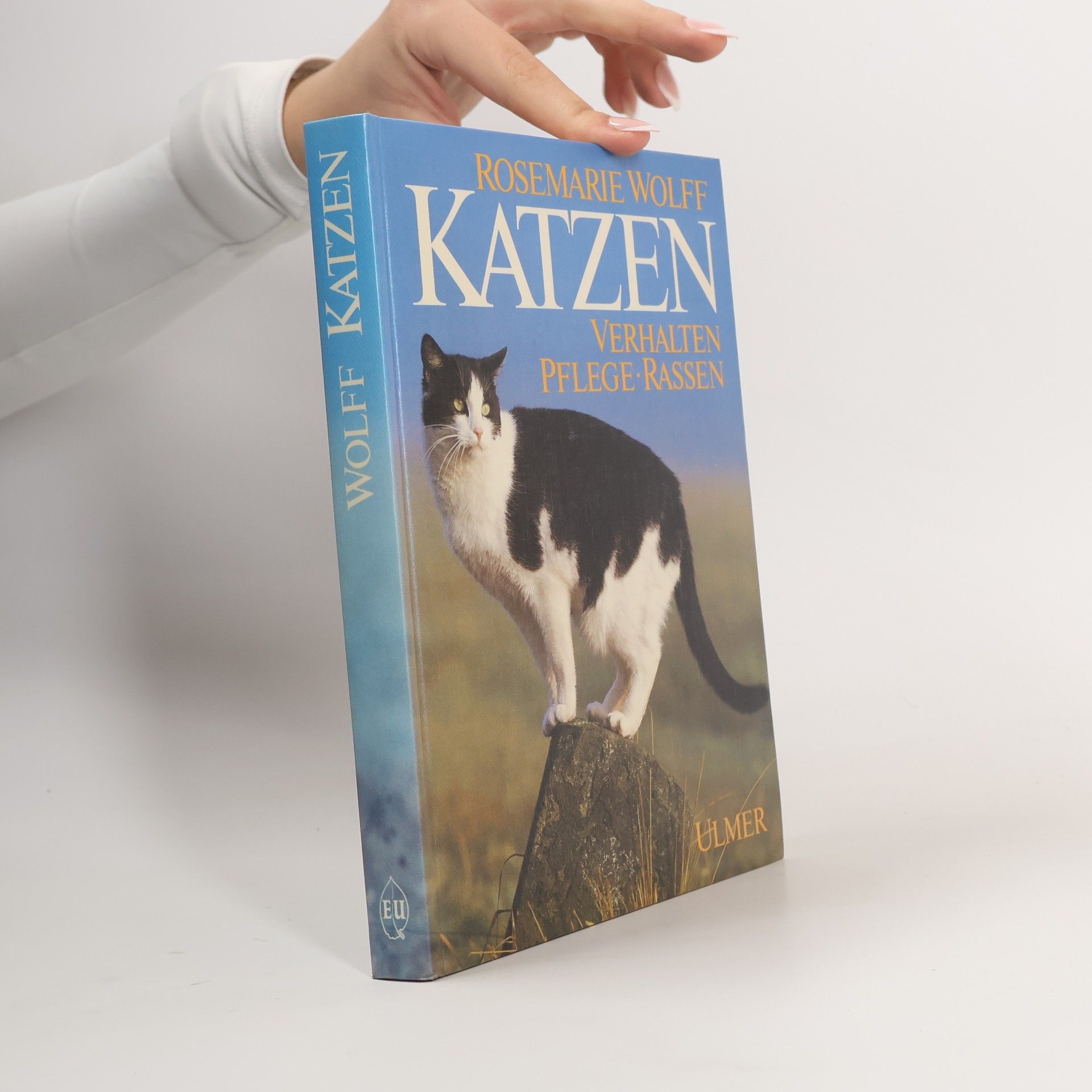 Rosemarie Wolff Katzen