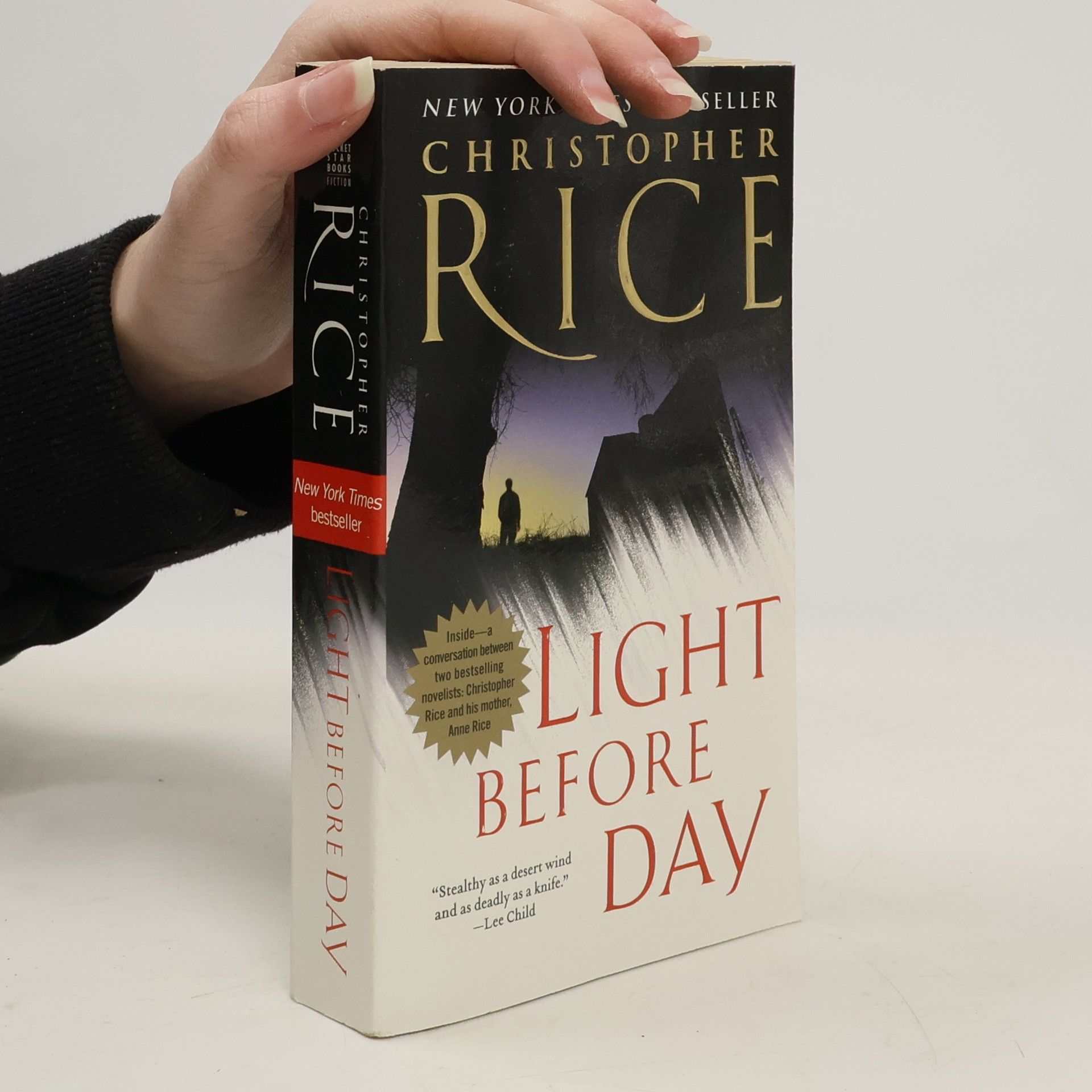 Christopher Rice Light Before Day