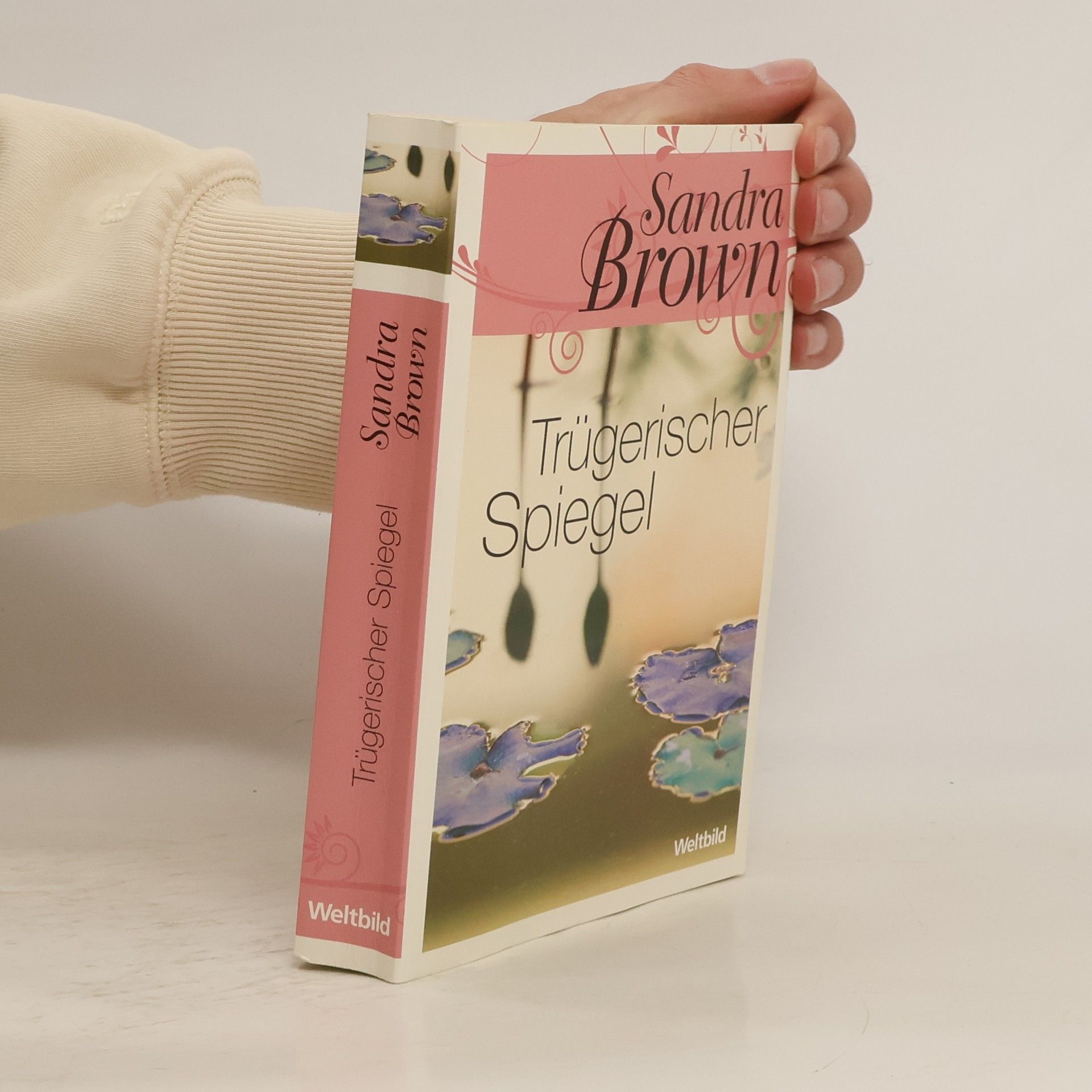 Sandra Brown Trügerischer spiegel