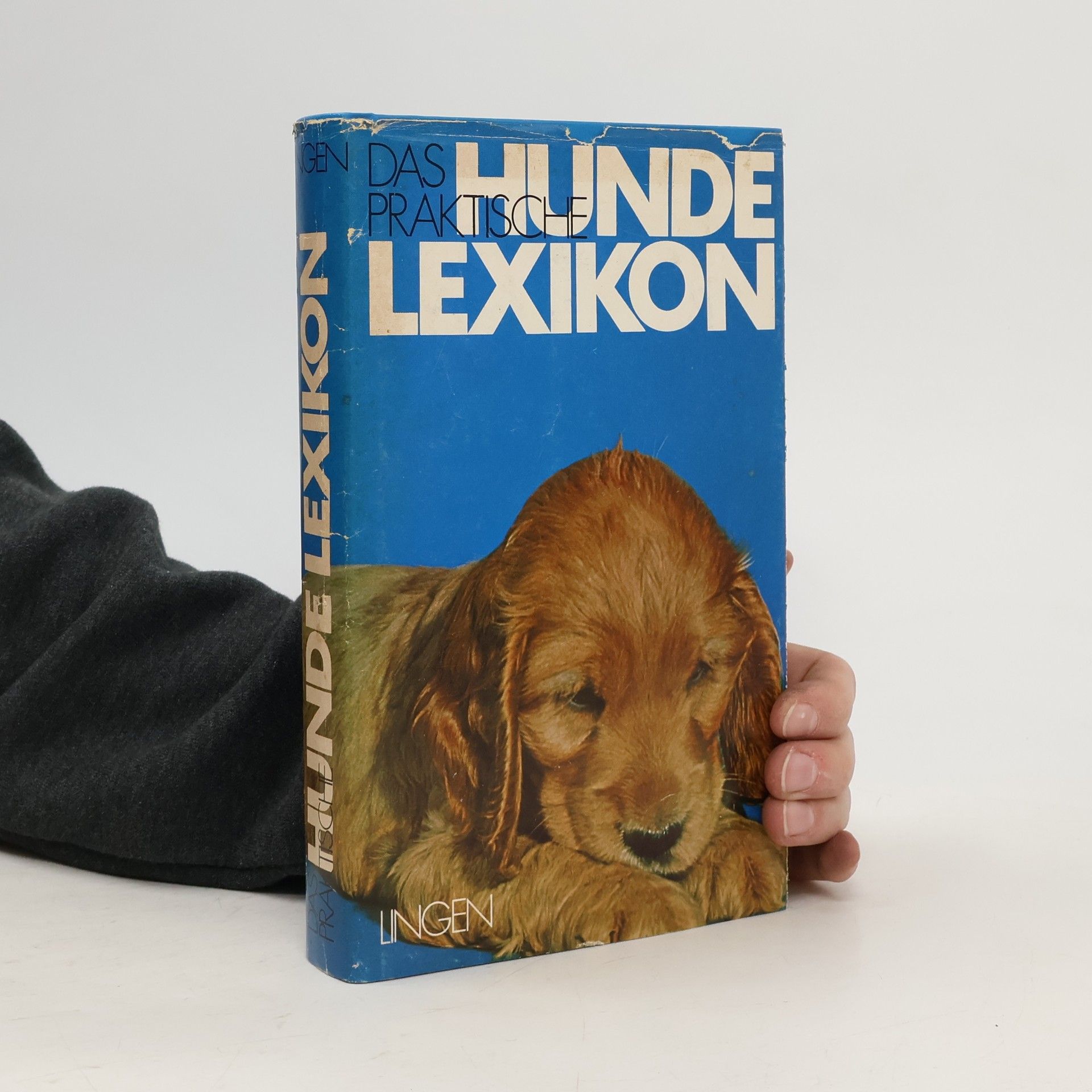 Autorenkollektiv Das praktische Hunde Lexikon