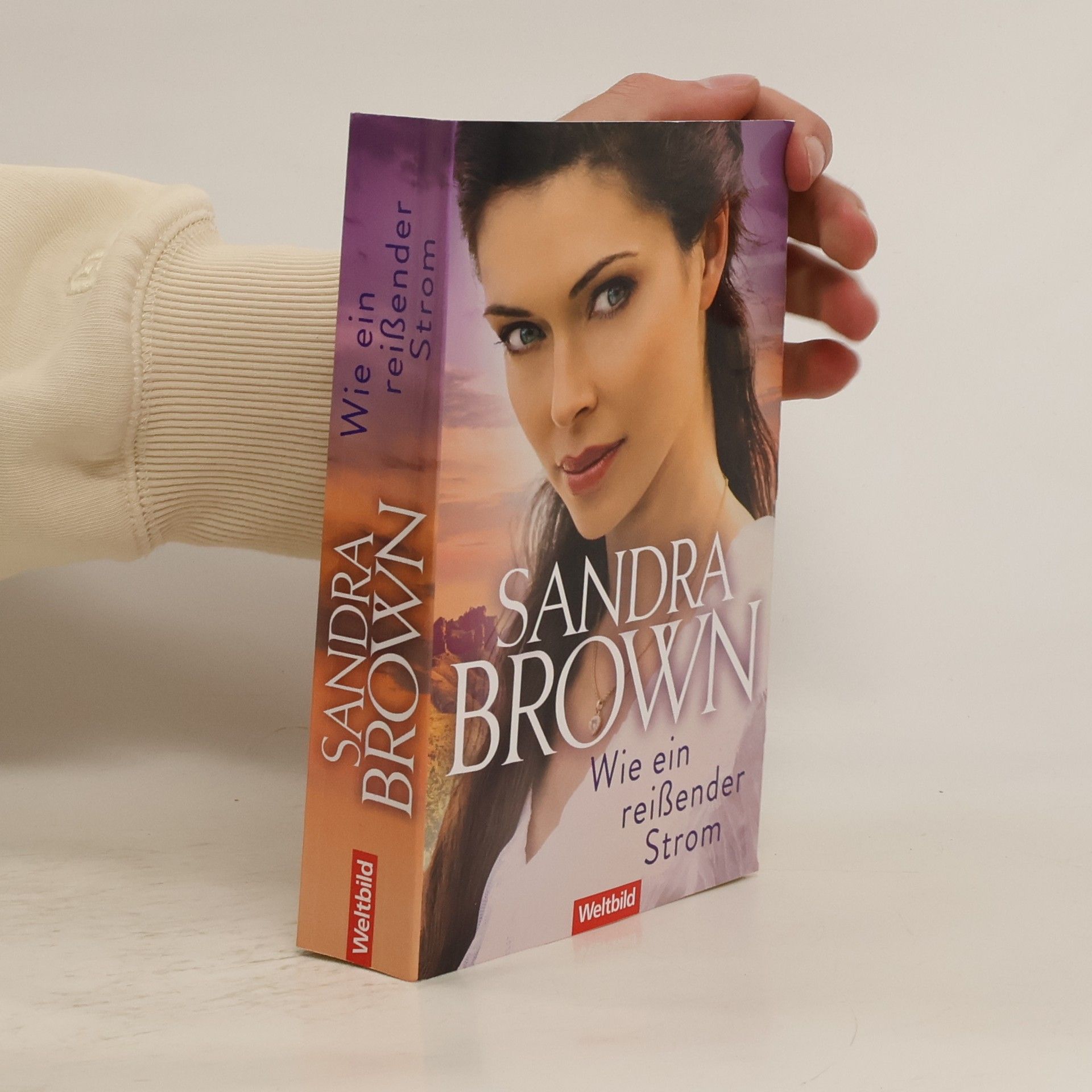 Sandra Brown Wie ein reißender Strom