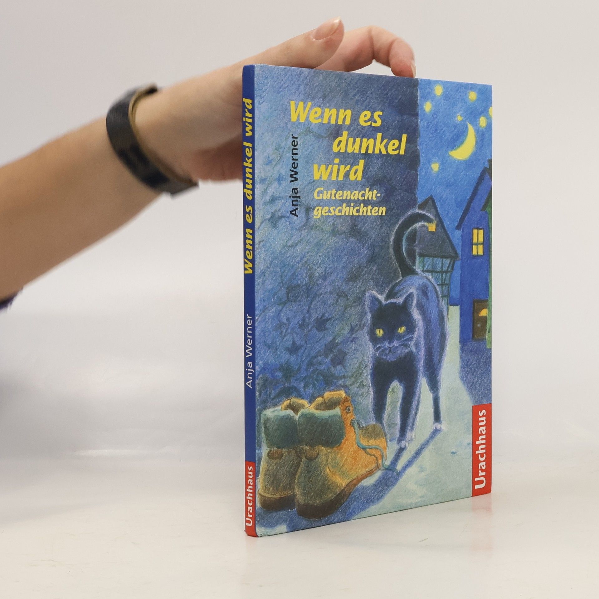 Anja Werner Wenn es dunkel wird