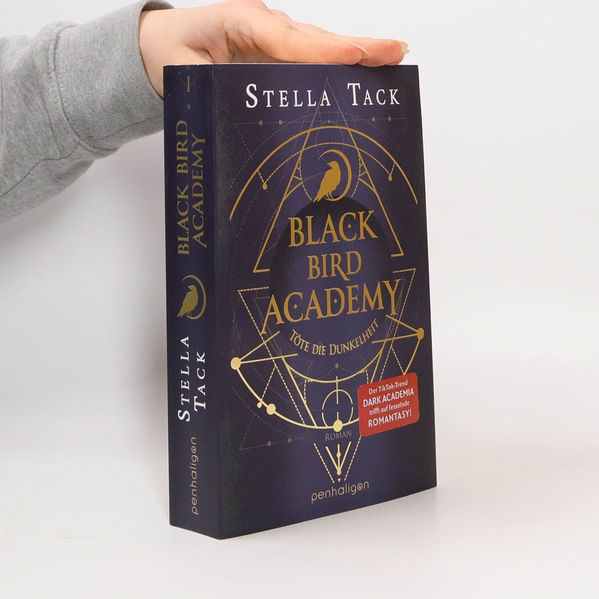 Stella Tack Black Bird Academy - Töte die Dunkelheit