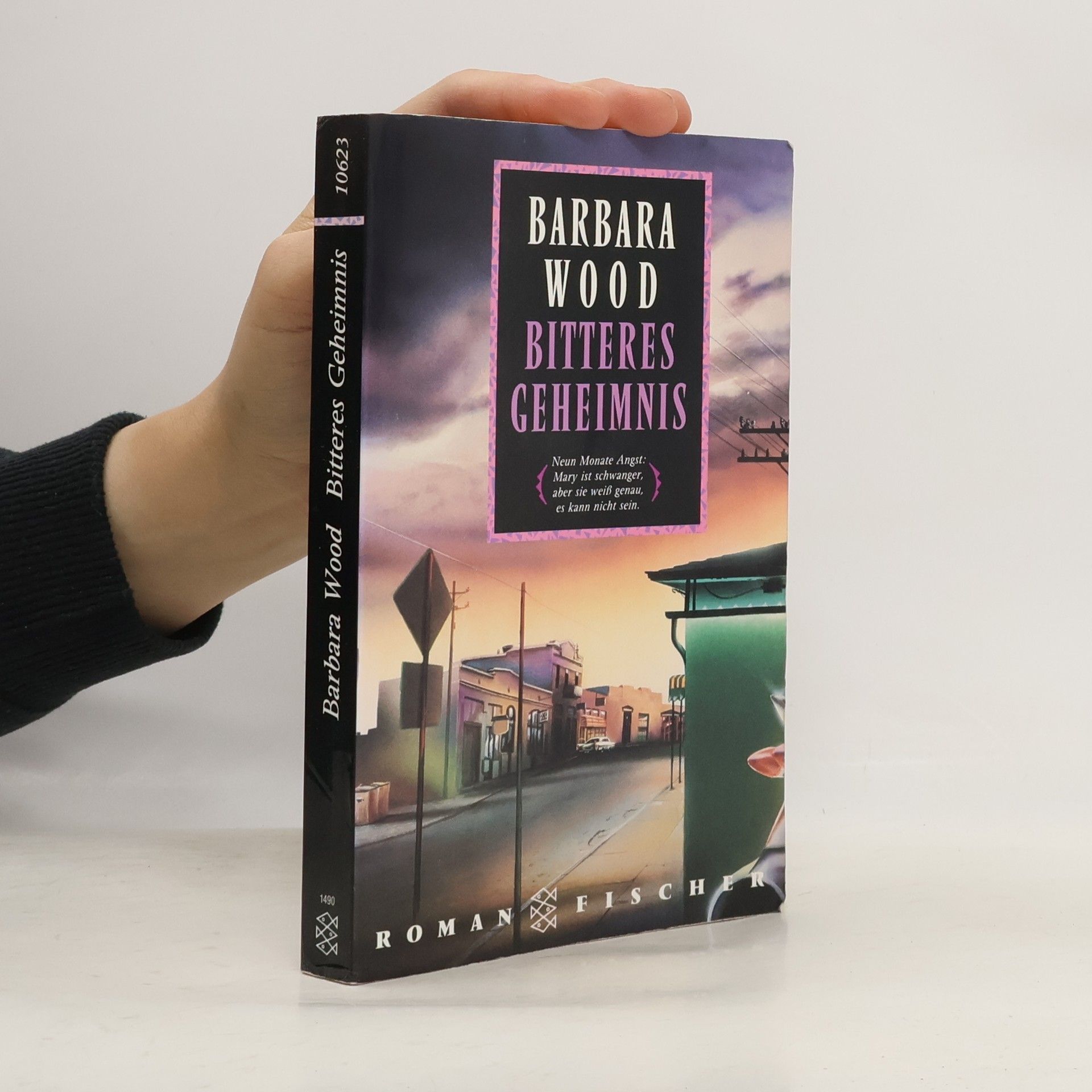 Barbara Wood Bitteres Geheimnis